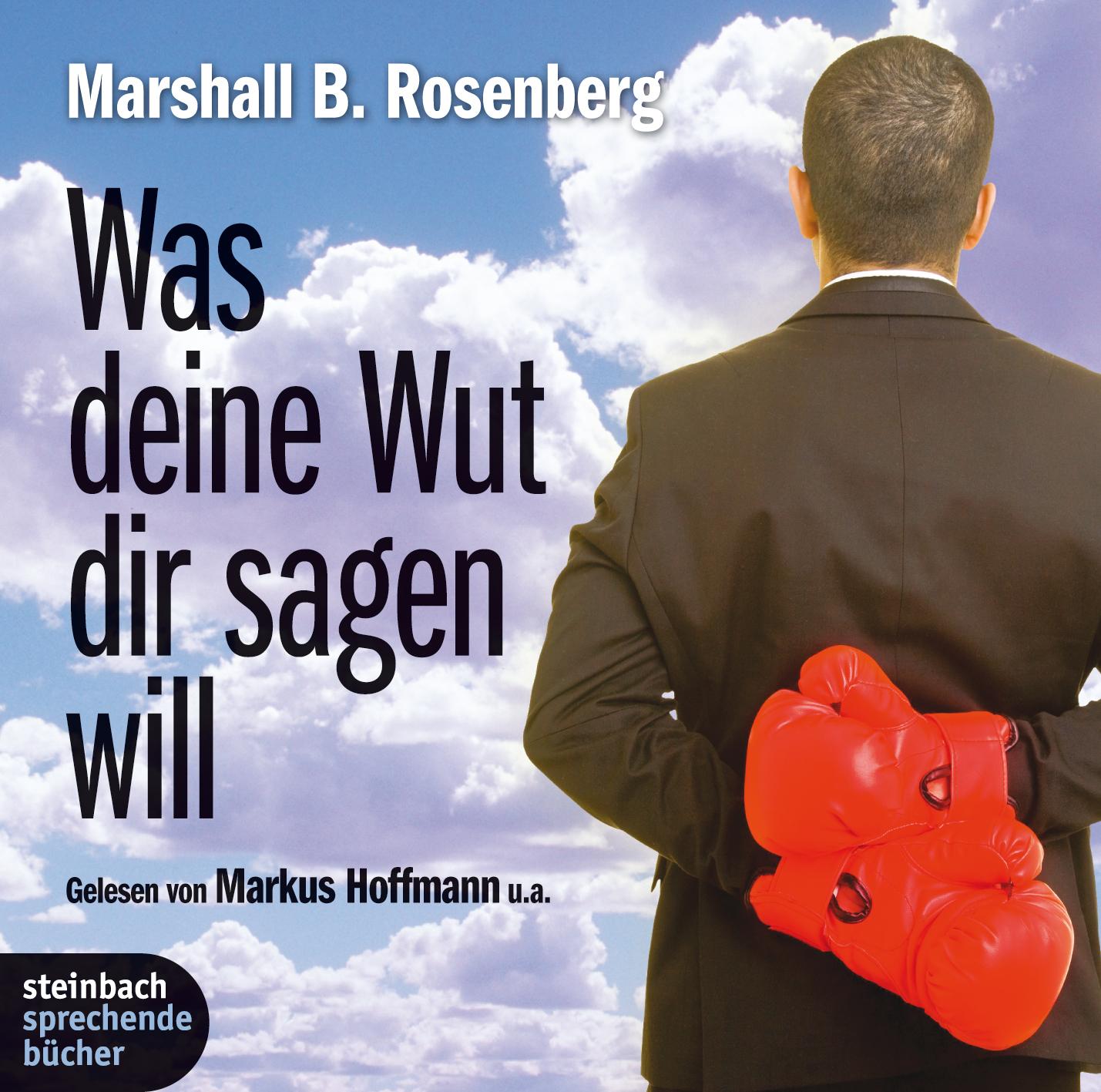 Vorderes Coverbild Was deine Wut dir sagen will: überraschende Einsichten