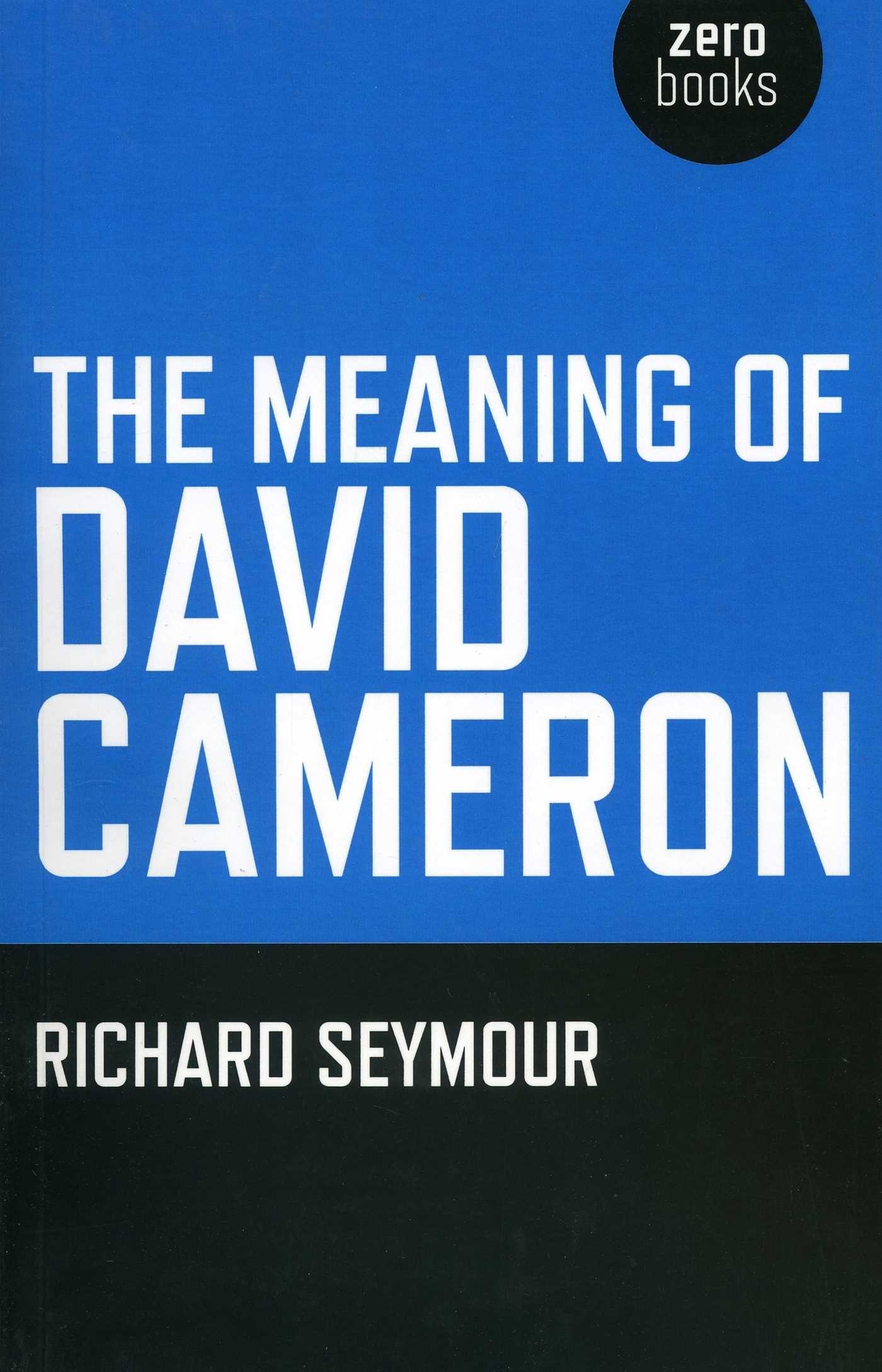 Vorderes Coverbild The Meaning of David Cameron