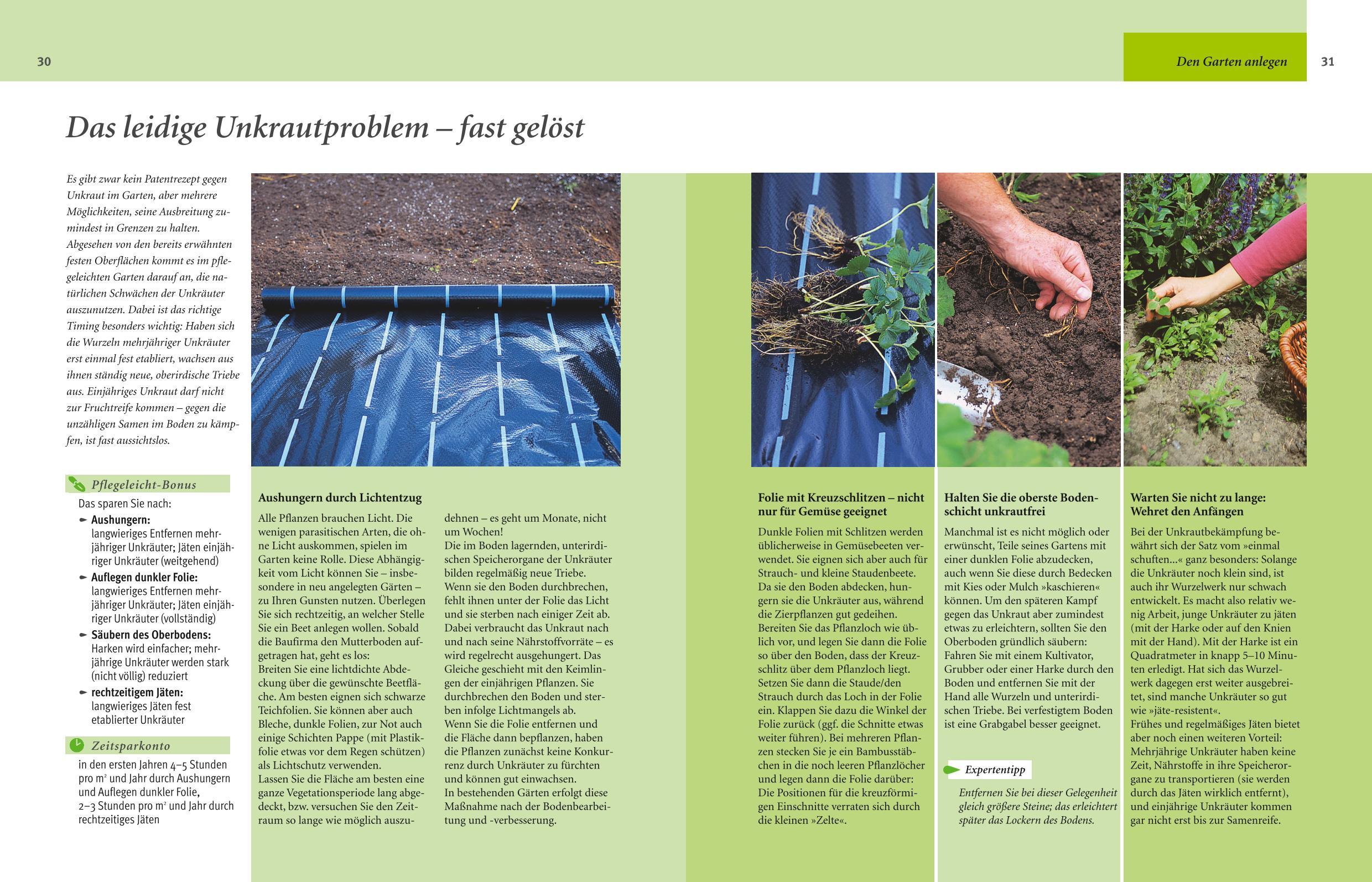 Beispielinhalt (Bild) Pflegeleichter Garten