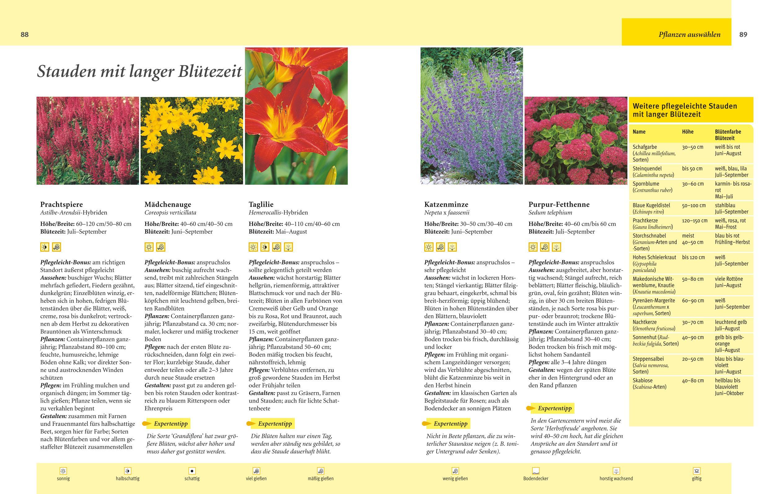 Beispielinhalt (Bild) Pflegeleichter Garten