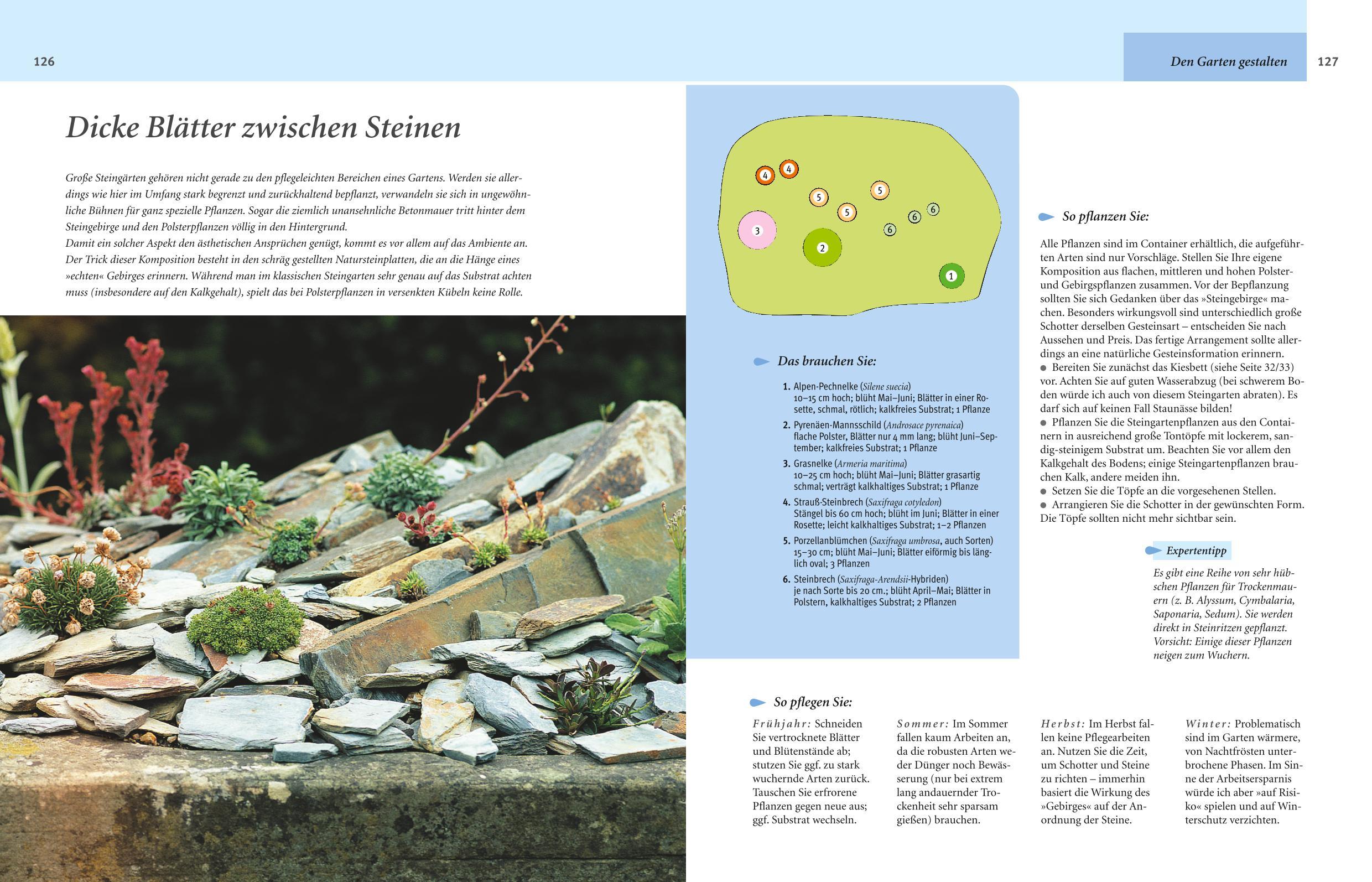 Beispielinhalt (Bild) Pflegeleichter Garten