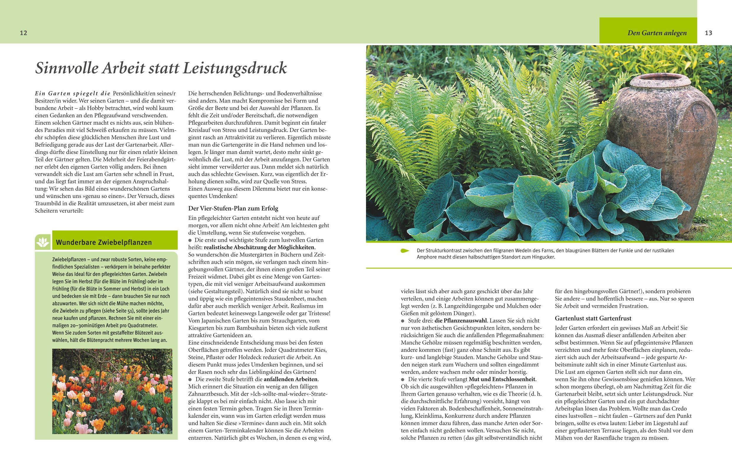 Beispielinhalt (Bild) Pflegeleichter Garten