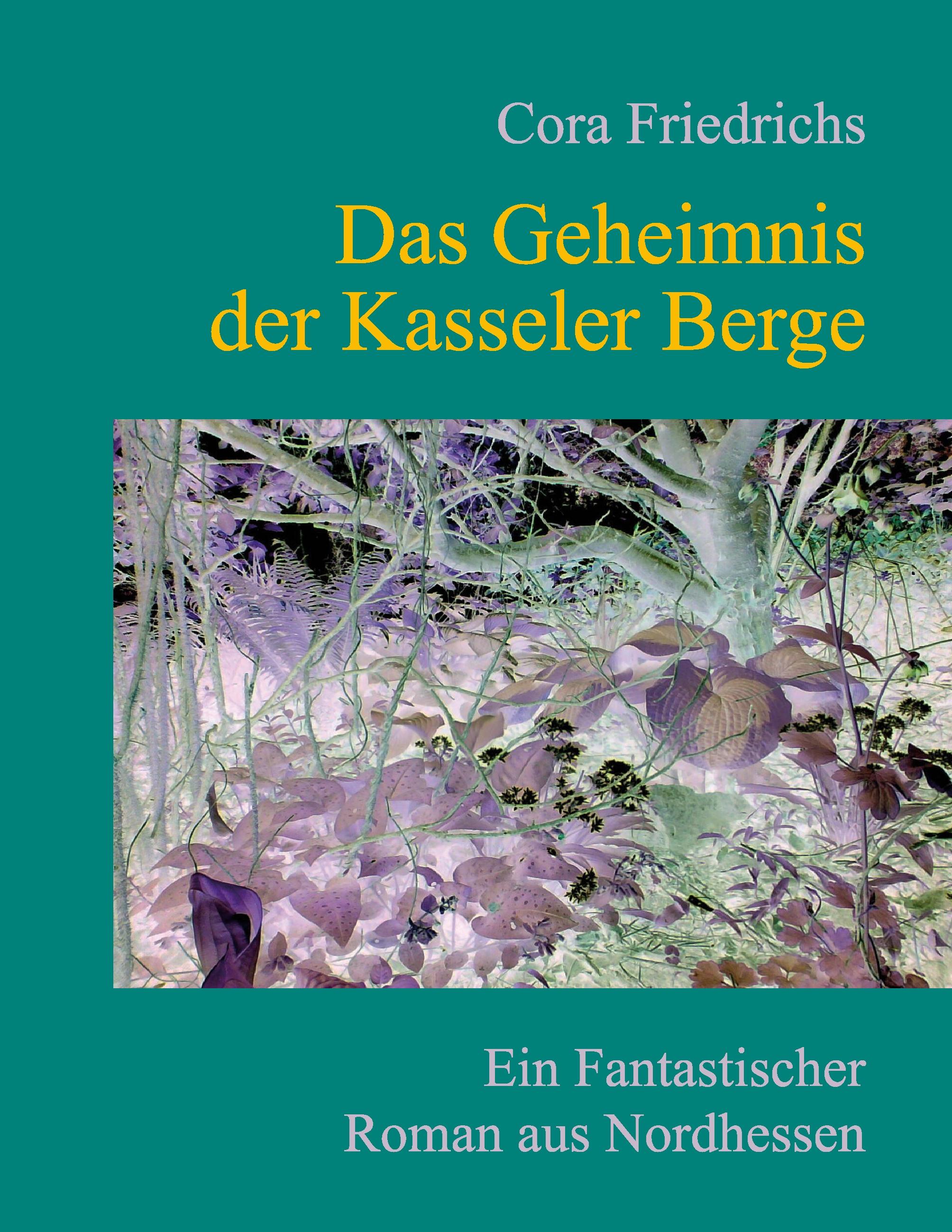 Vorderes Coverbild Das Geheimnis der Kasseler Berge