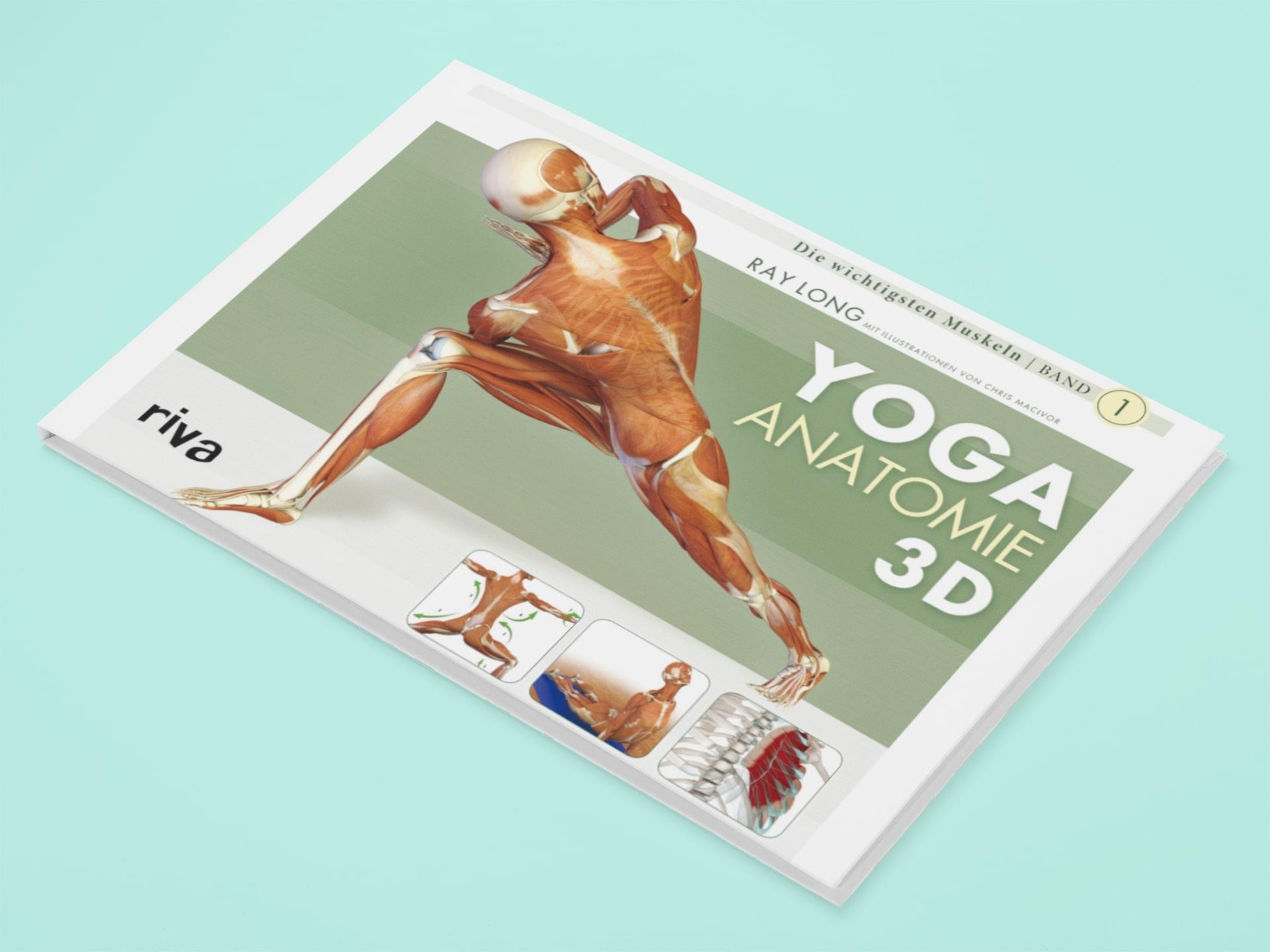 Beispielinhalt (Bild) Yoga-Anatomie 3D