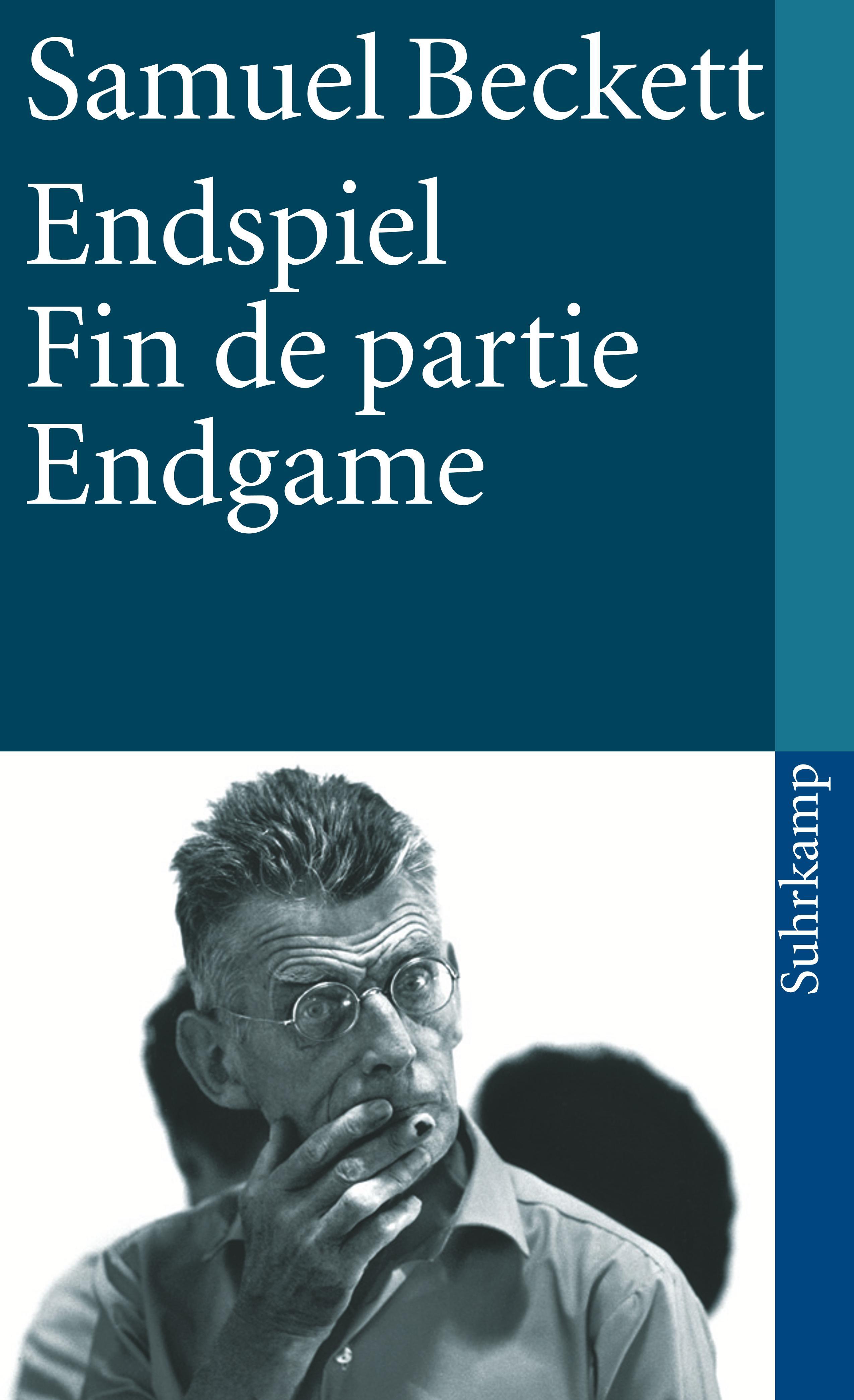 Vorderes Coverbild Endspiel