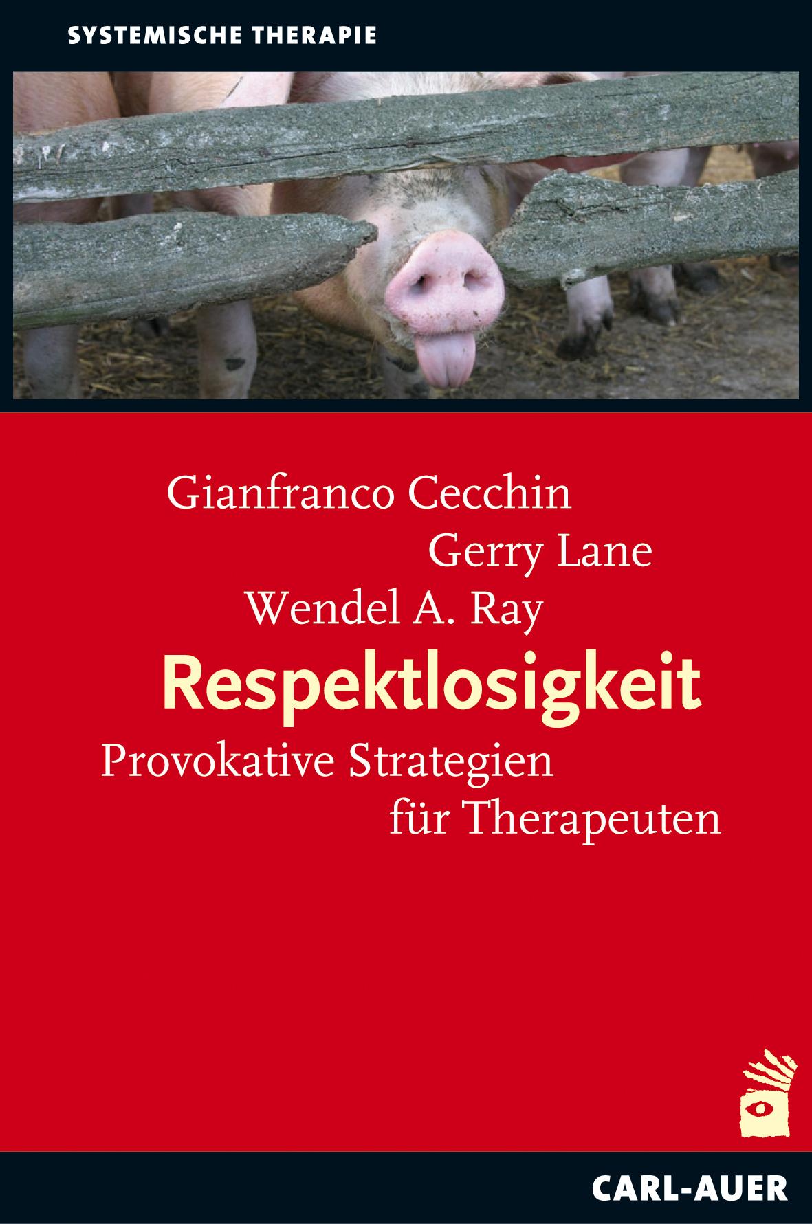 Vorderes Coverbild Respektlosigkeit