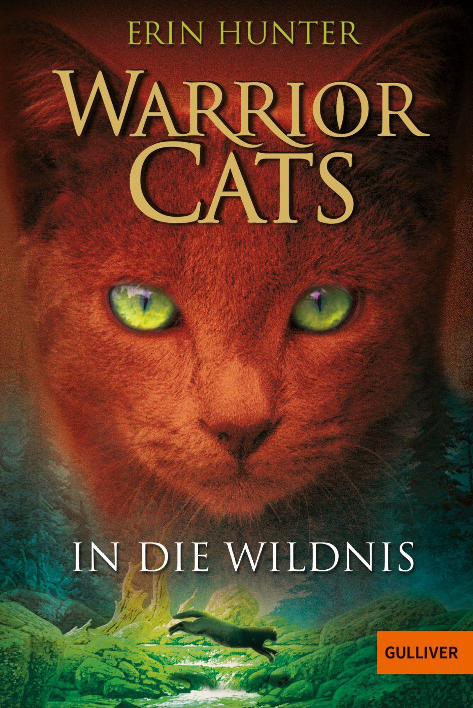 Vorderes Coverbild Warrior Cats Staffel 1/01. In die Wildnis