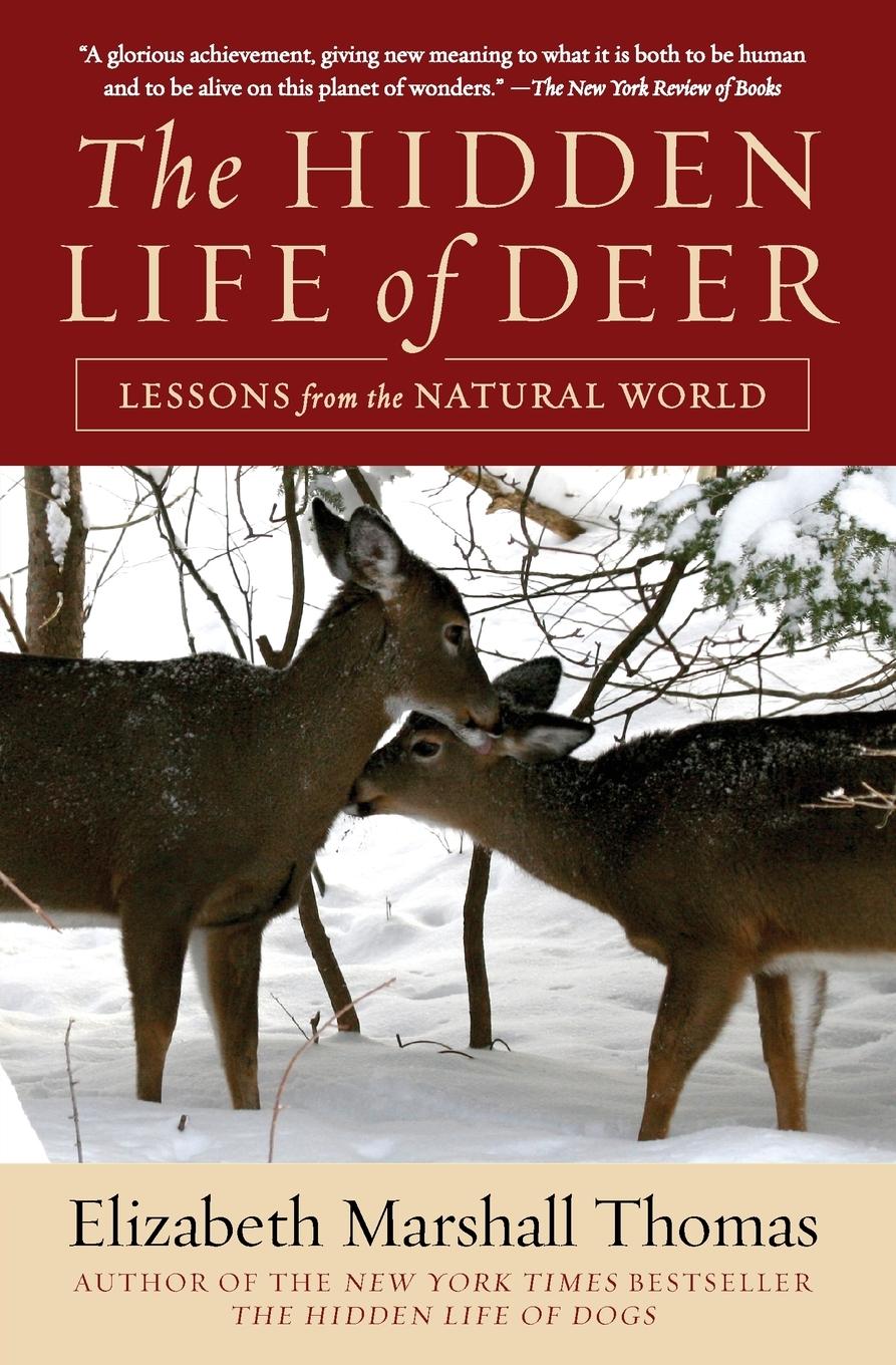 Vorderes Coverbild Hidden Life of Deer, The