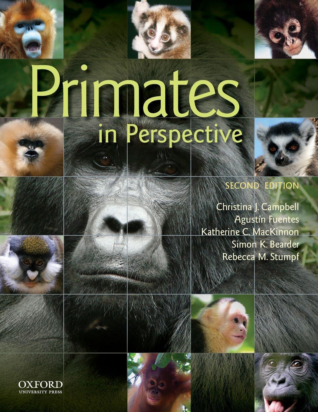 Vorderes Coverbild Primates in Perspective