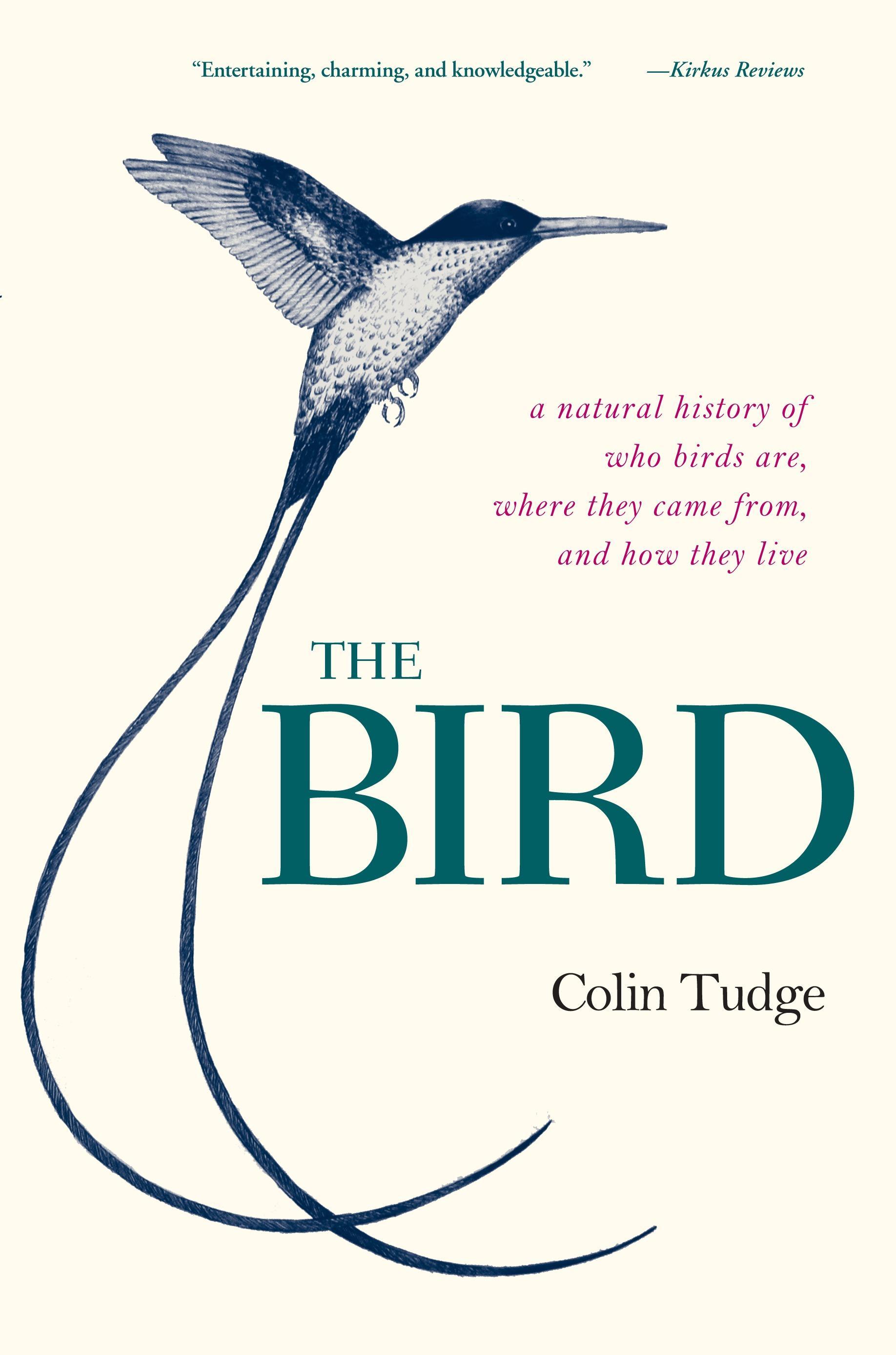 Vorderes Coverbild The Bird
