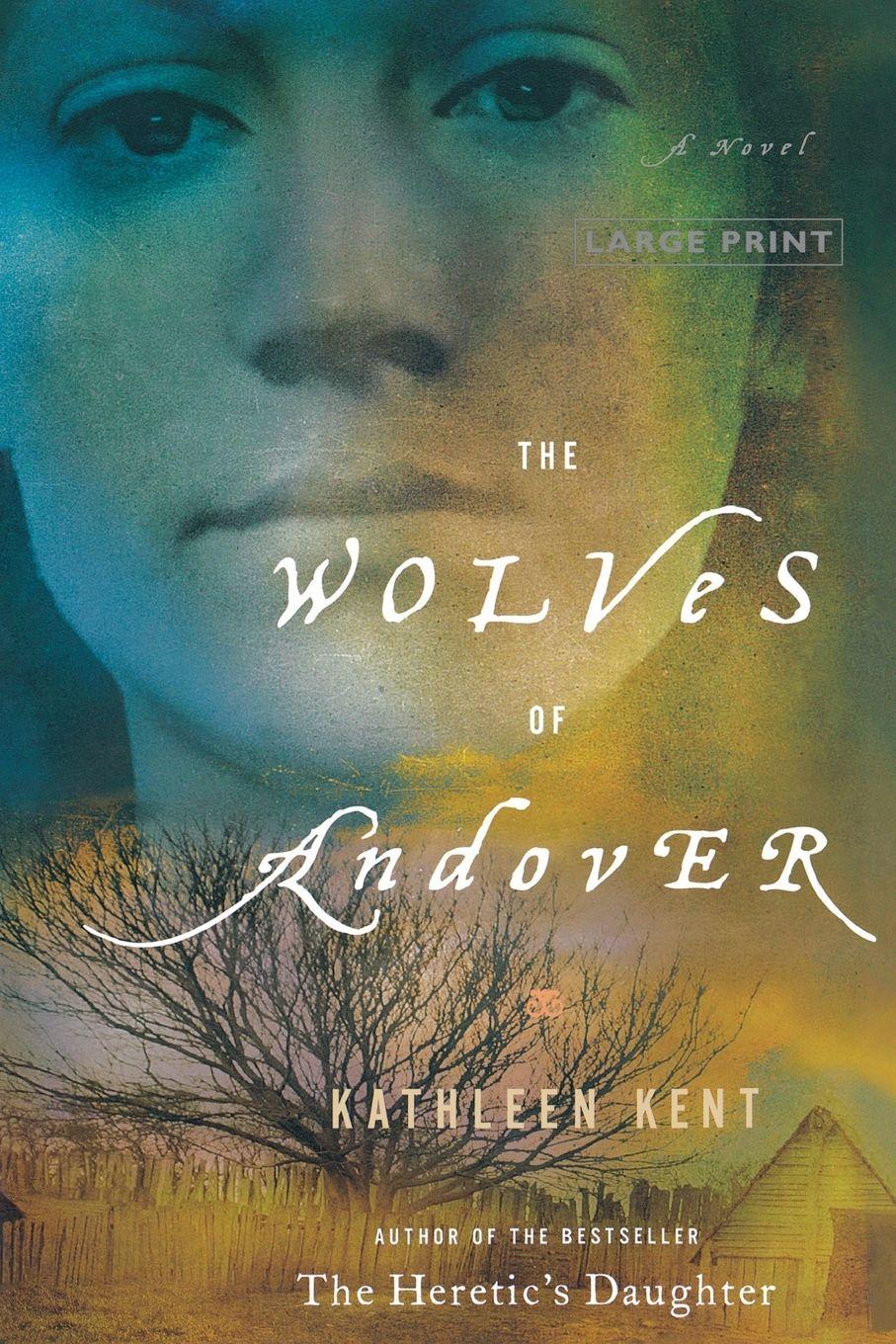 Vorderes Coverbild The Wolves of Andover