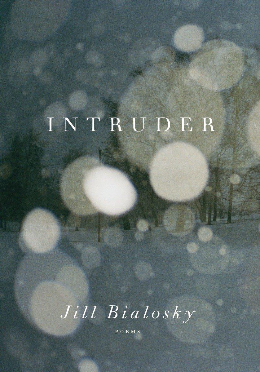 Vorderes Coverbild Intruder