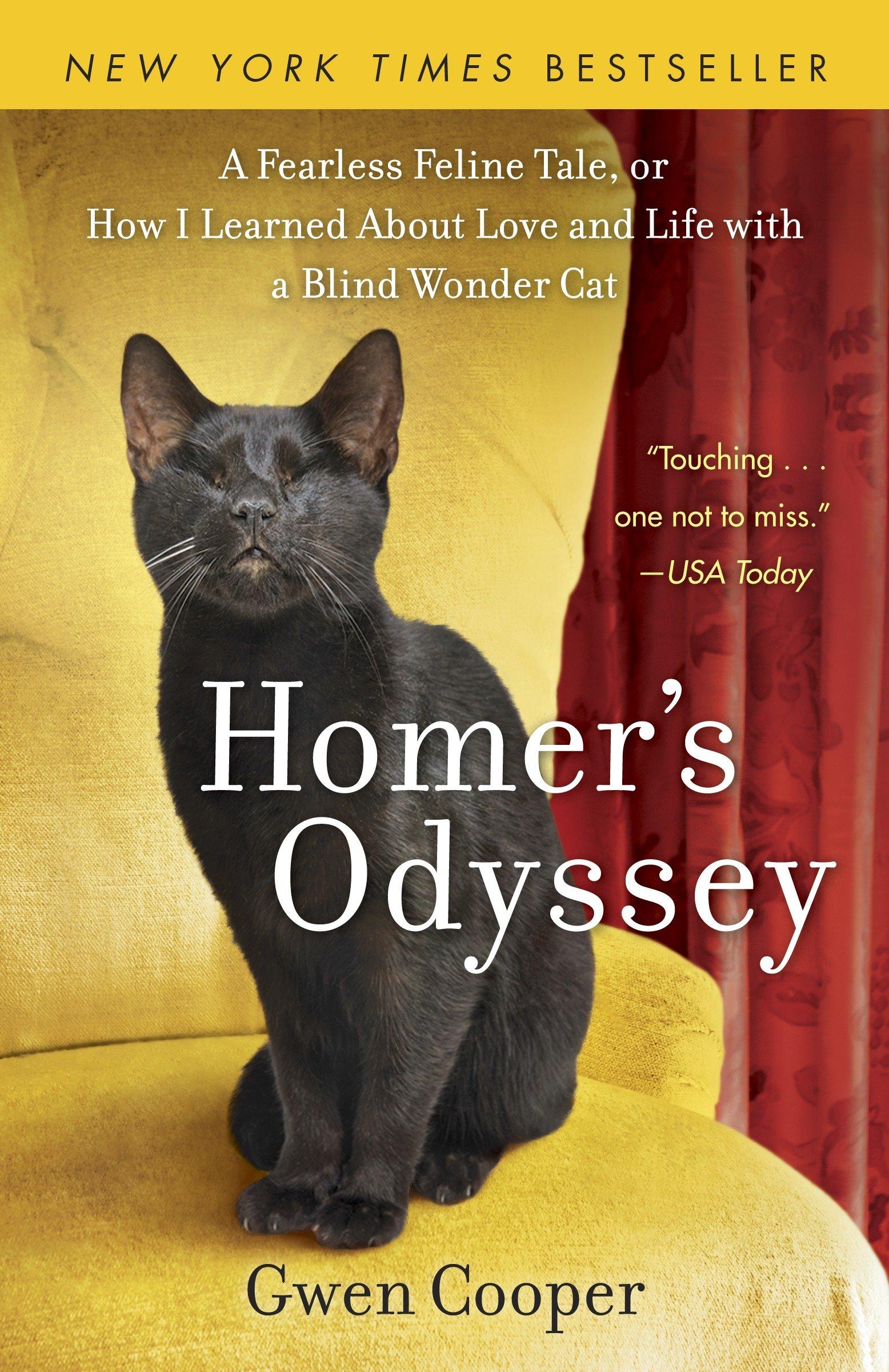 Vorderes Coverbild Homer's Odyssey