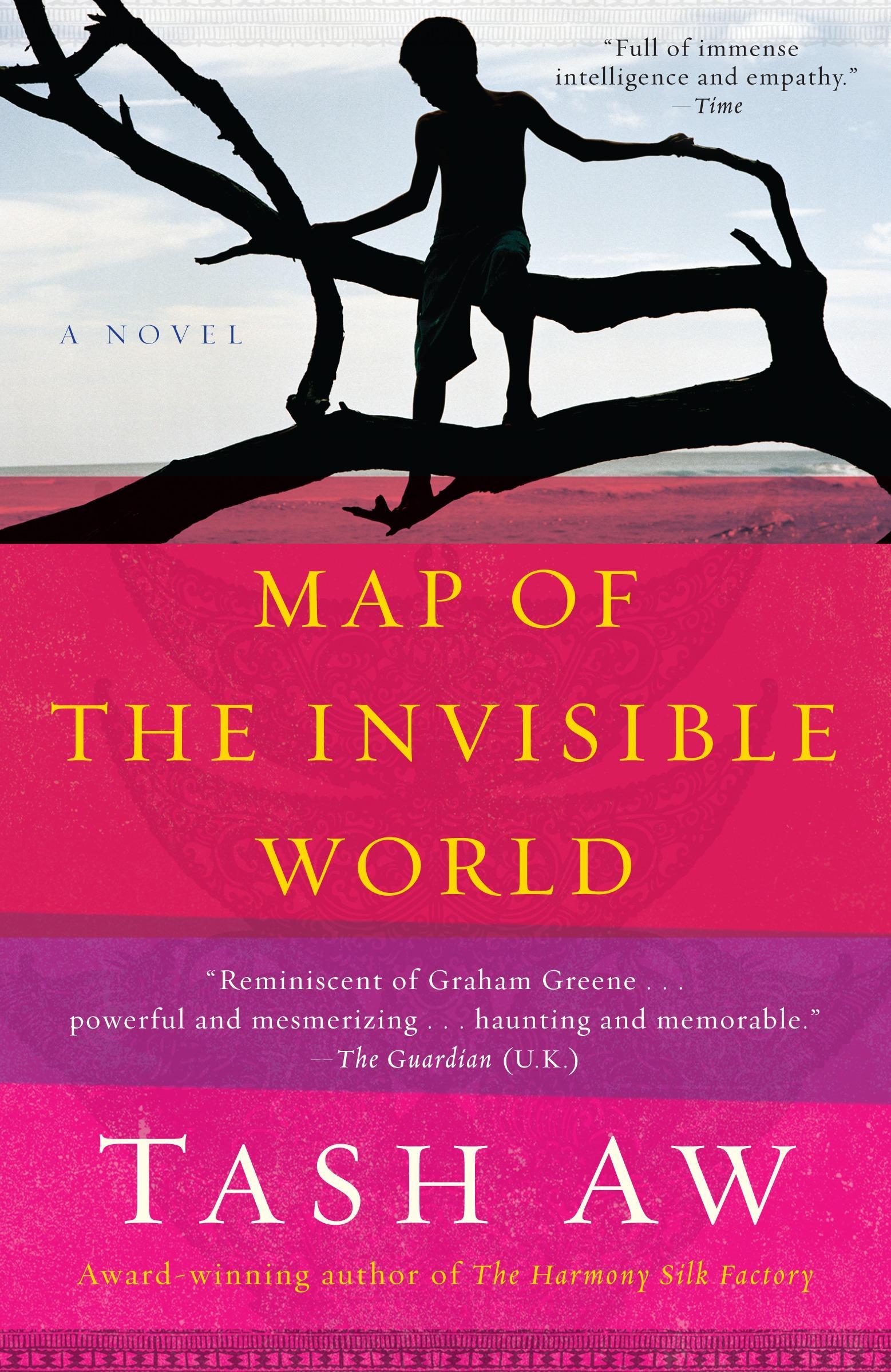 Vorderes Coverbild Map of the Invisible World