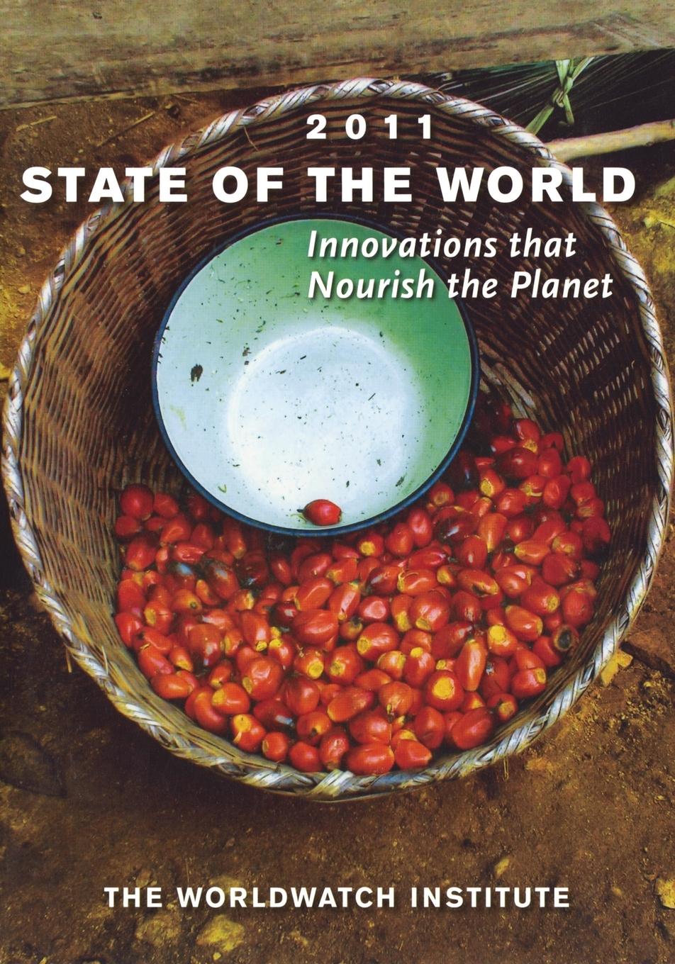 Vorderes Coverbild State of the World
