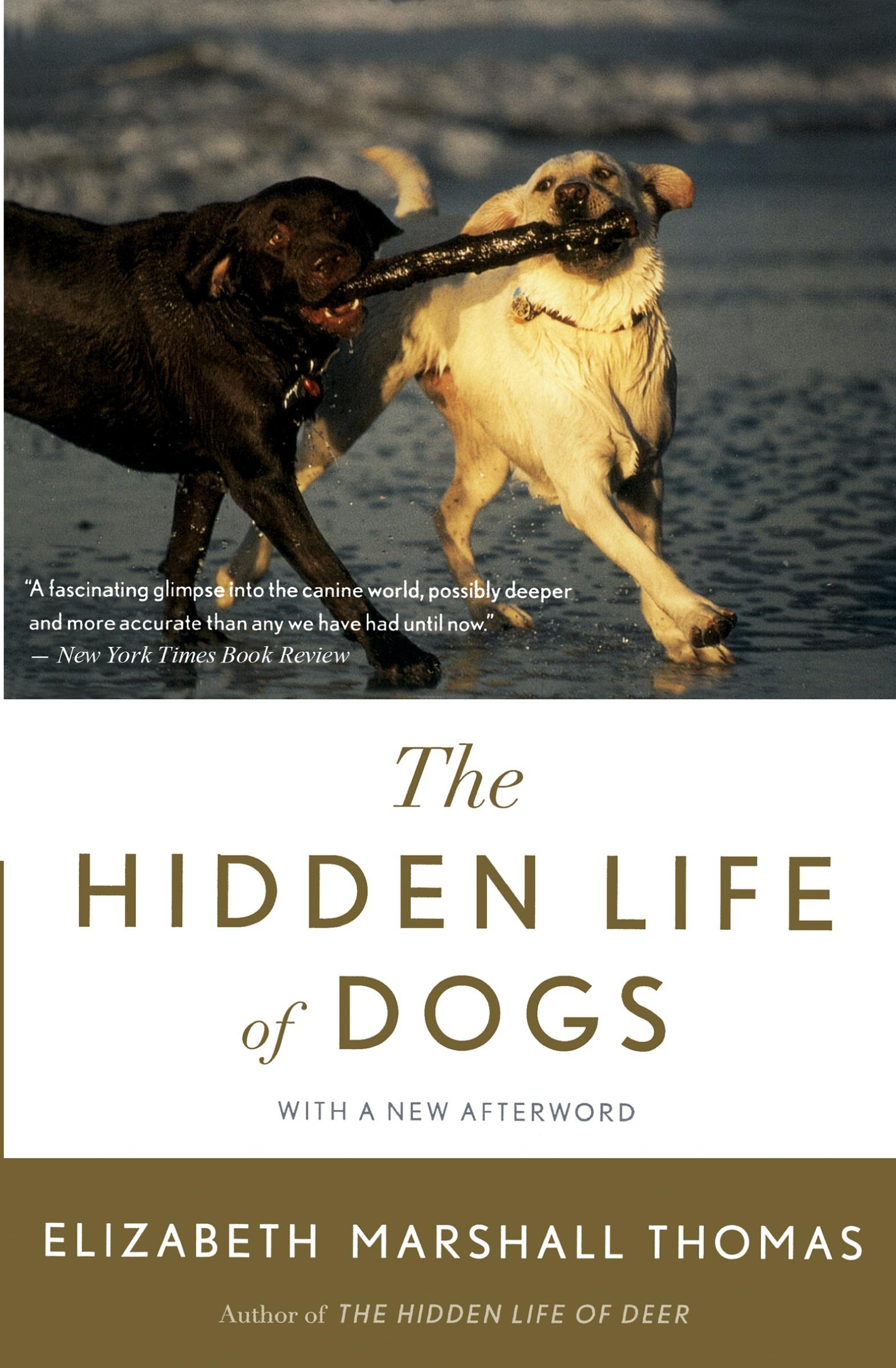 Vorderes Coverbild Hidden Life of Dogs, The