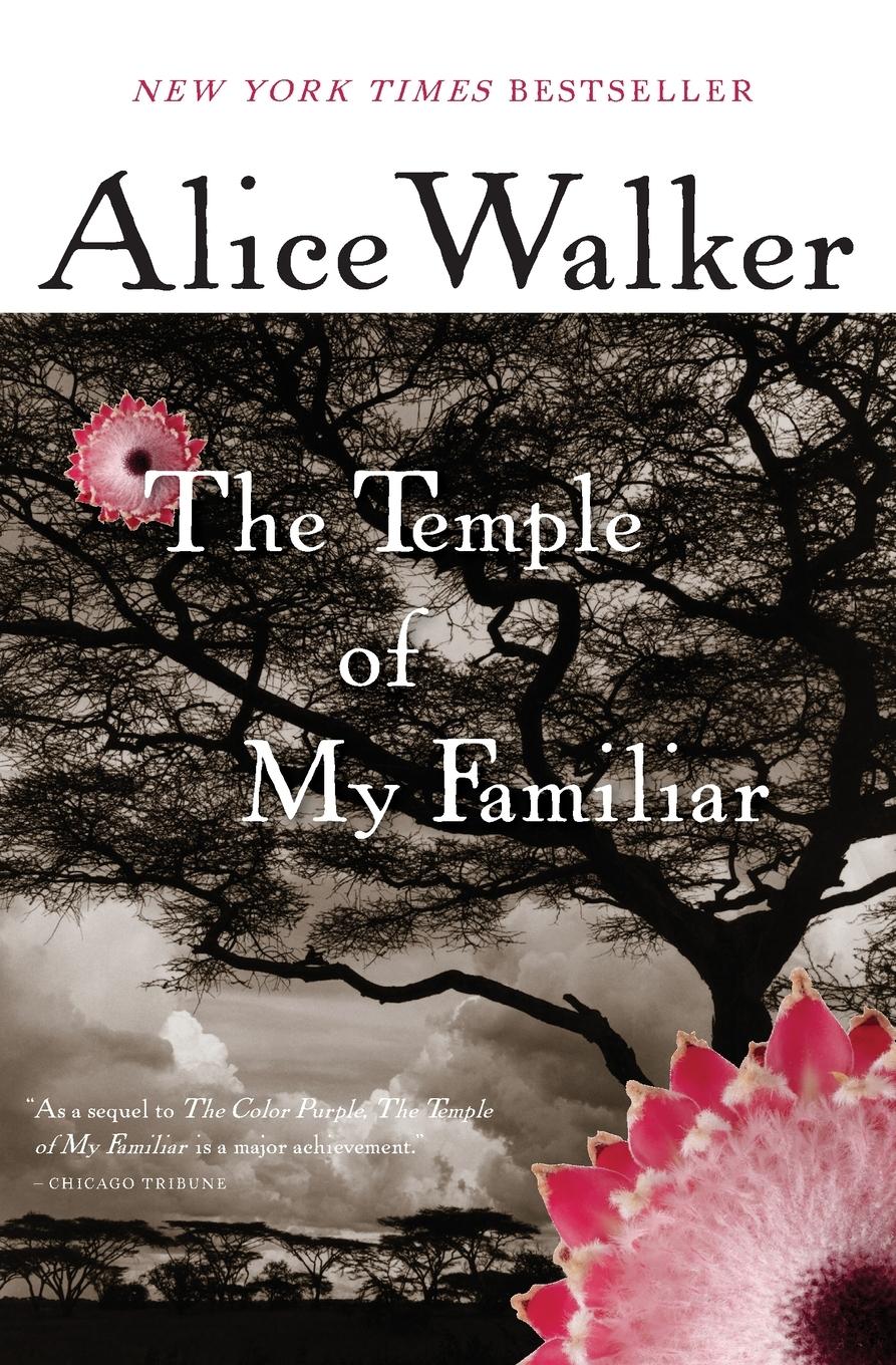 Vorderes Coverbild Temple of My Familiar, The