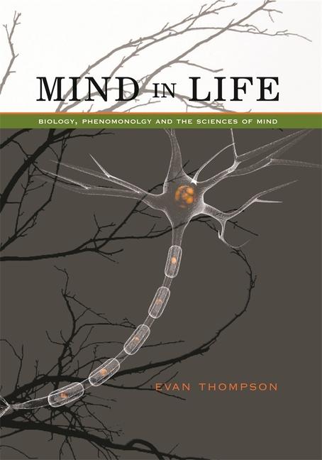 Vorderes Coverbild Mind in Life