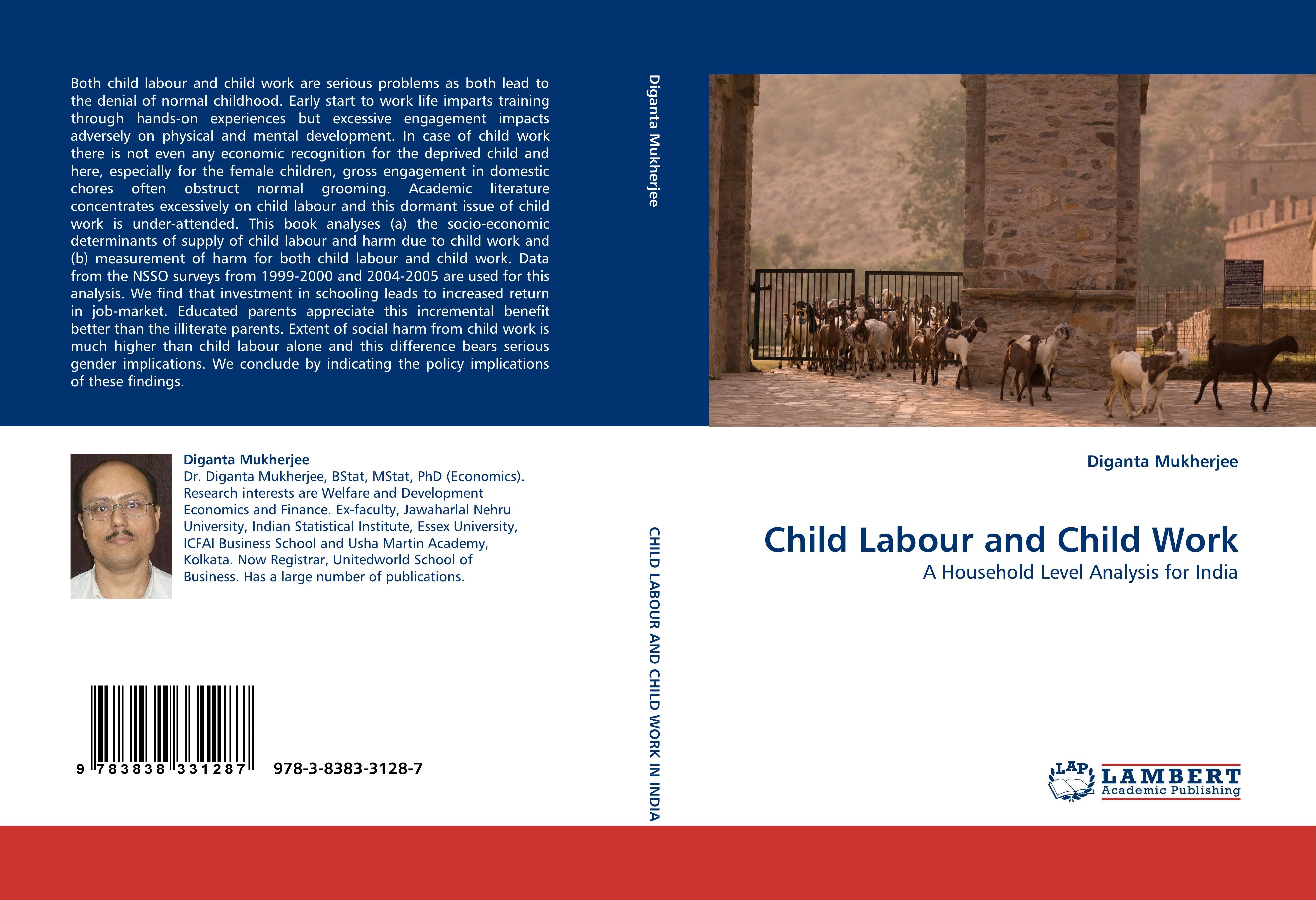 Vorderes Coverbild Child Labour and Child Work