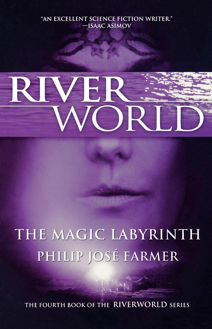Vorderes Coverbild The Magic Labyrinth