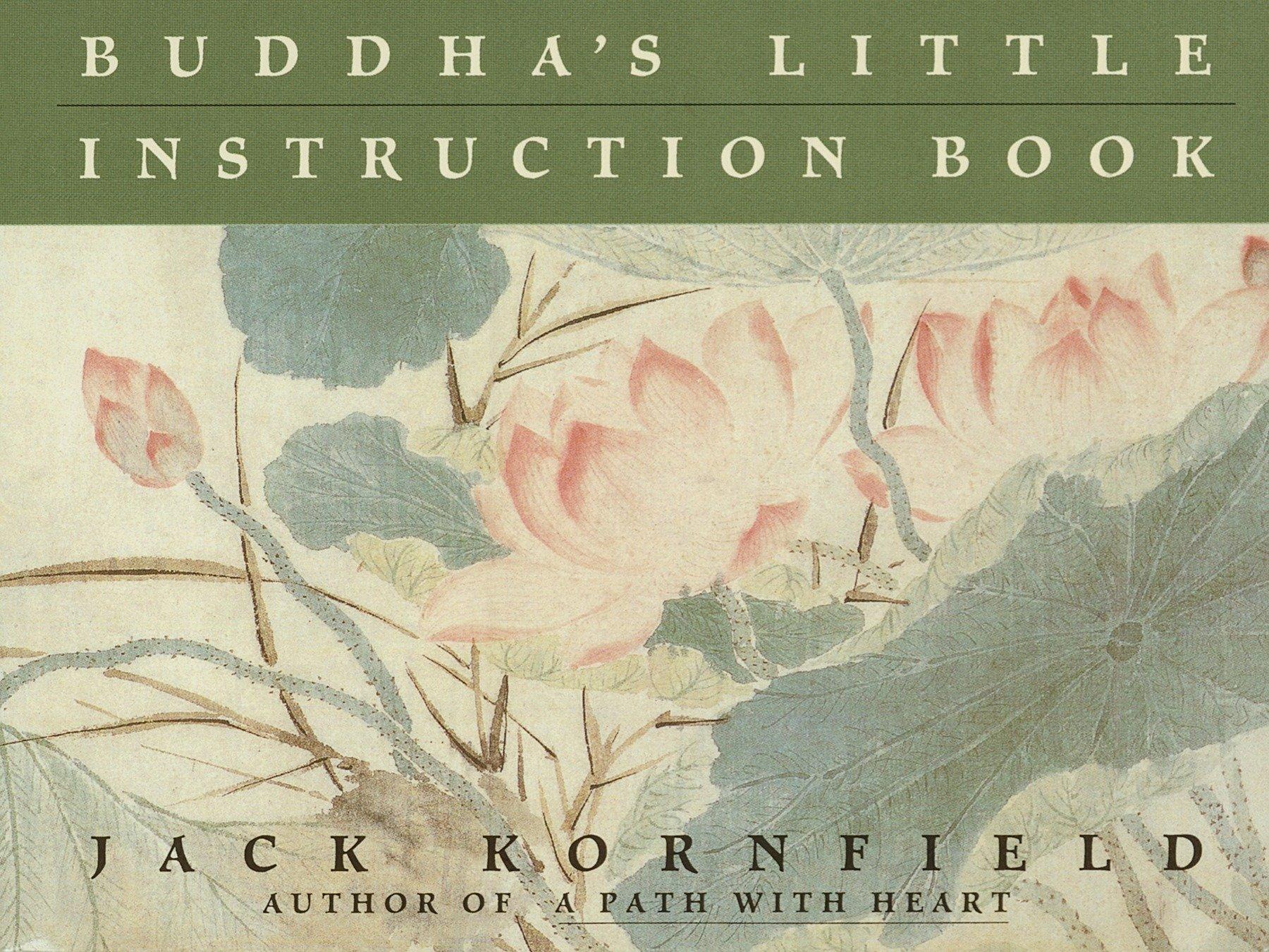 Vorderes Coverbild Buddha's Little Instruction Book