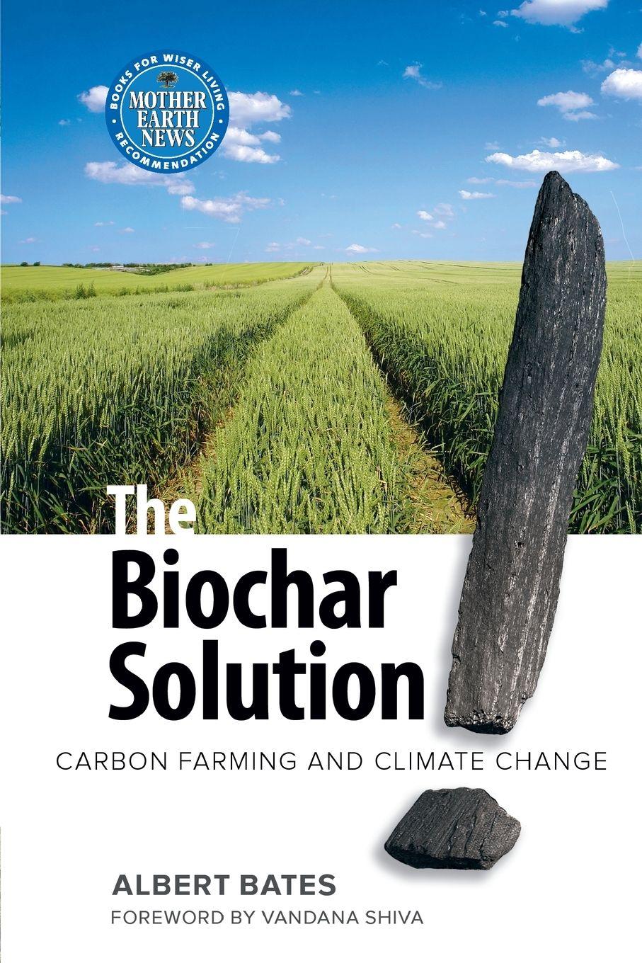 Vorderes Coverbild The Biochar Solution