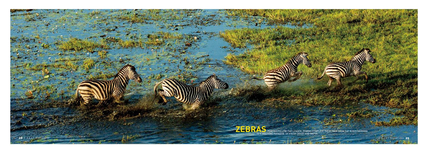 Beispielinhalt (Bild) Great Migrations