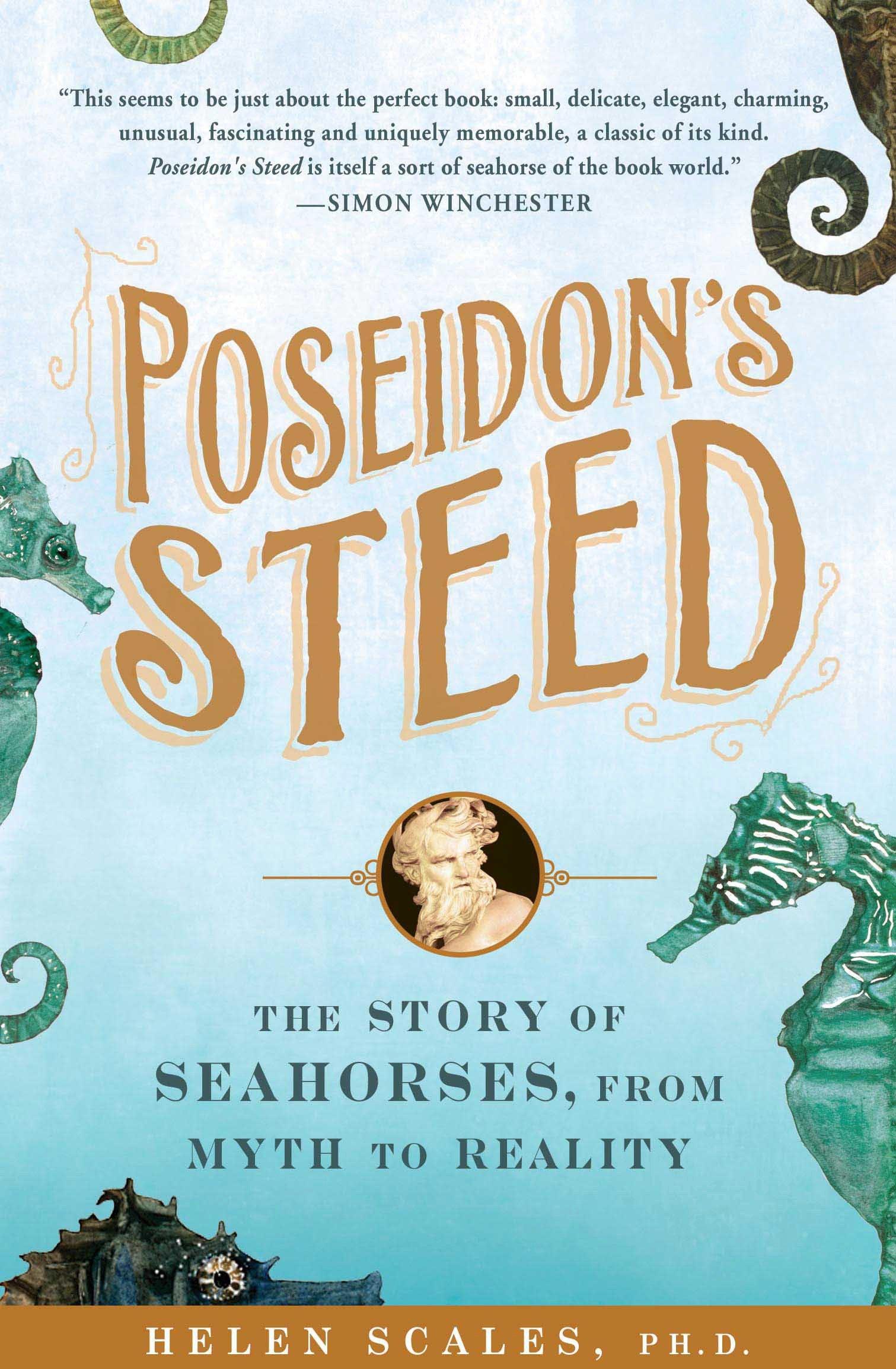 Vorderes Coverbild Poseidon's Steed