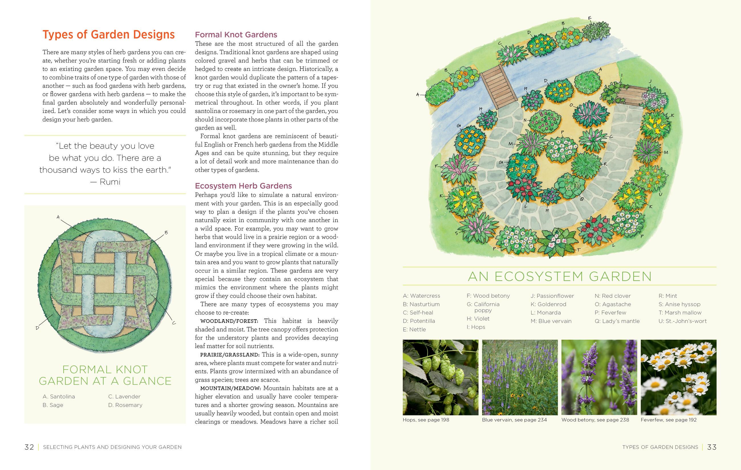 Beispielinhalt (Bild) Homegrown Herbs