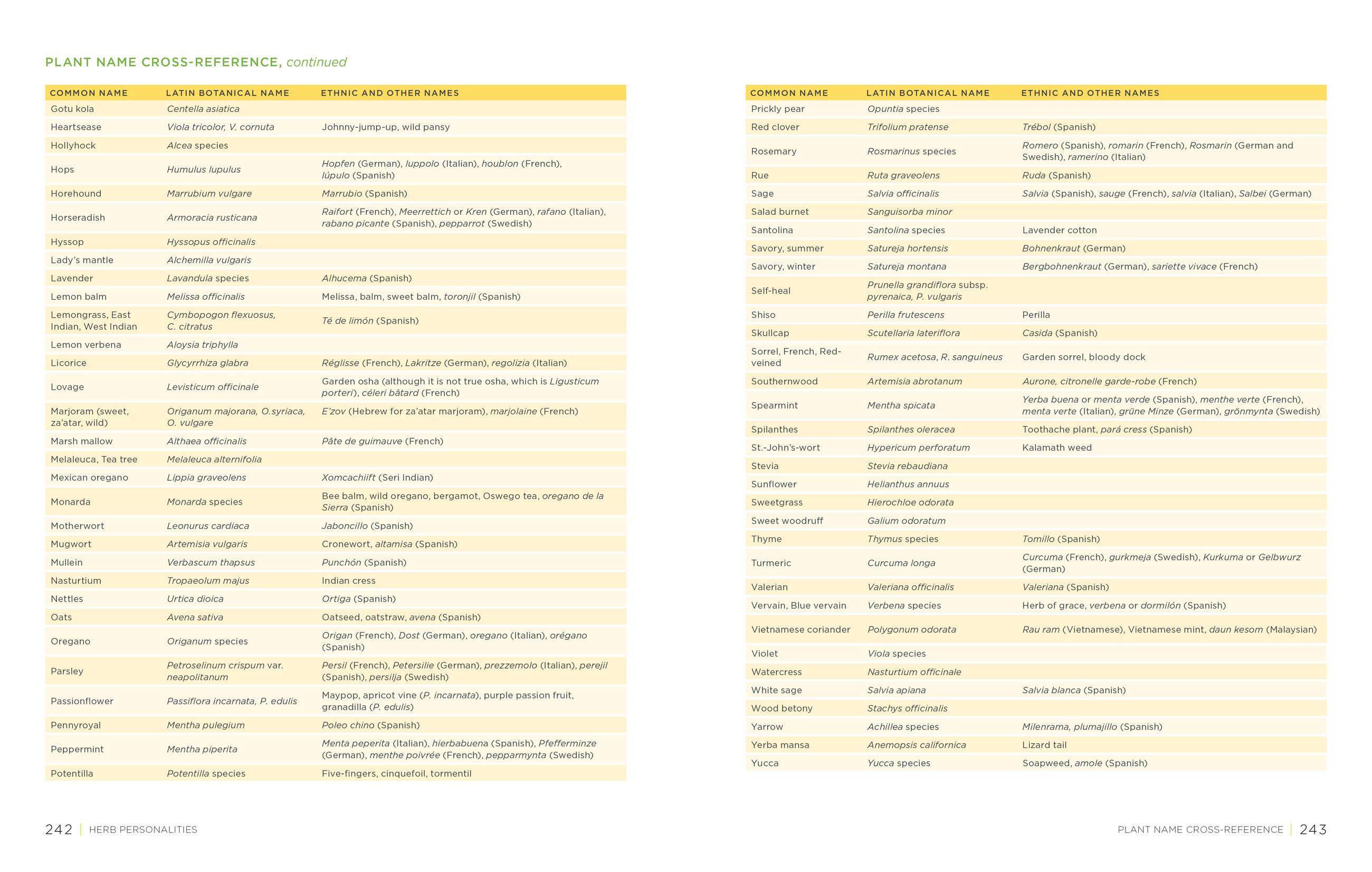 Beispielinhalt (Bild) Homegrown Herbs