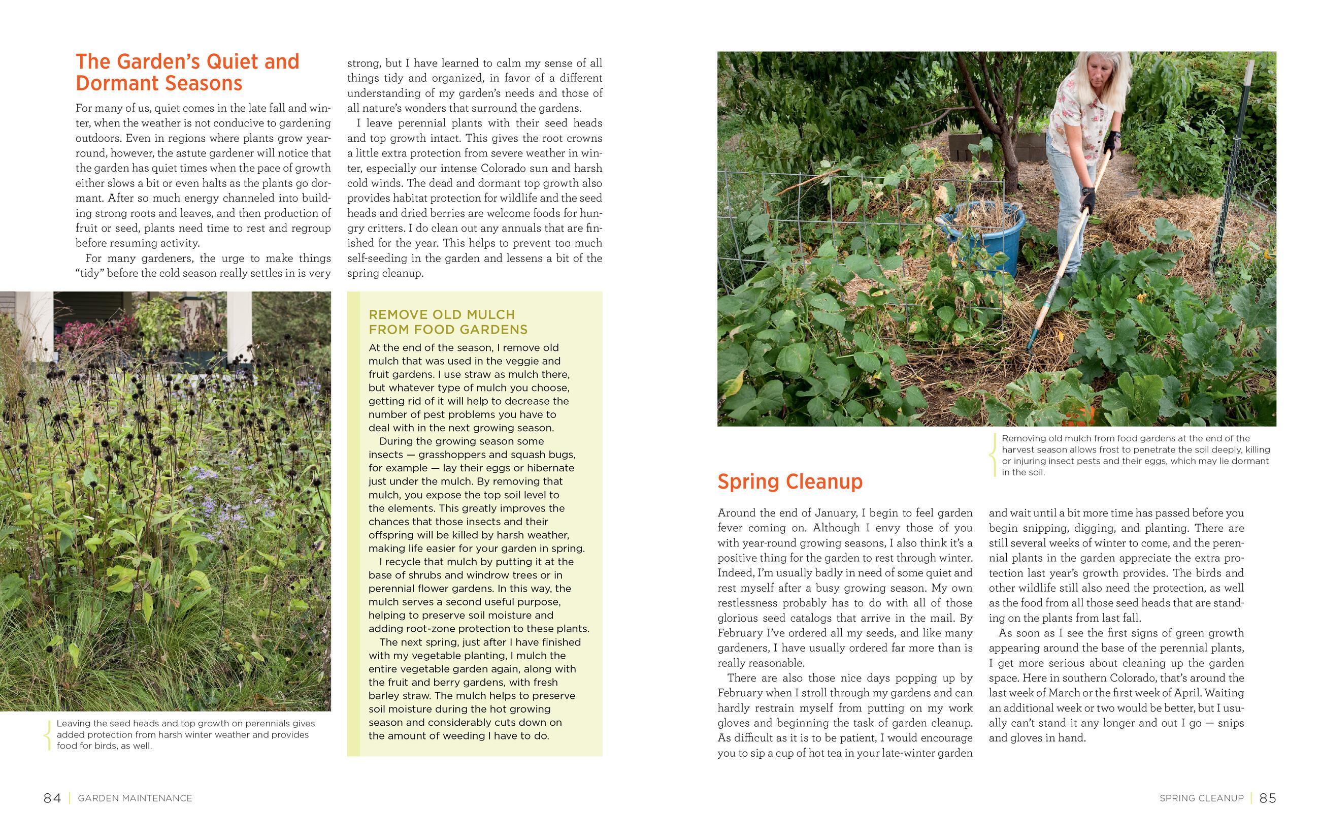 Beispielinhalt (Bild) Homegrown Herbs