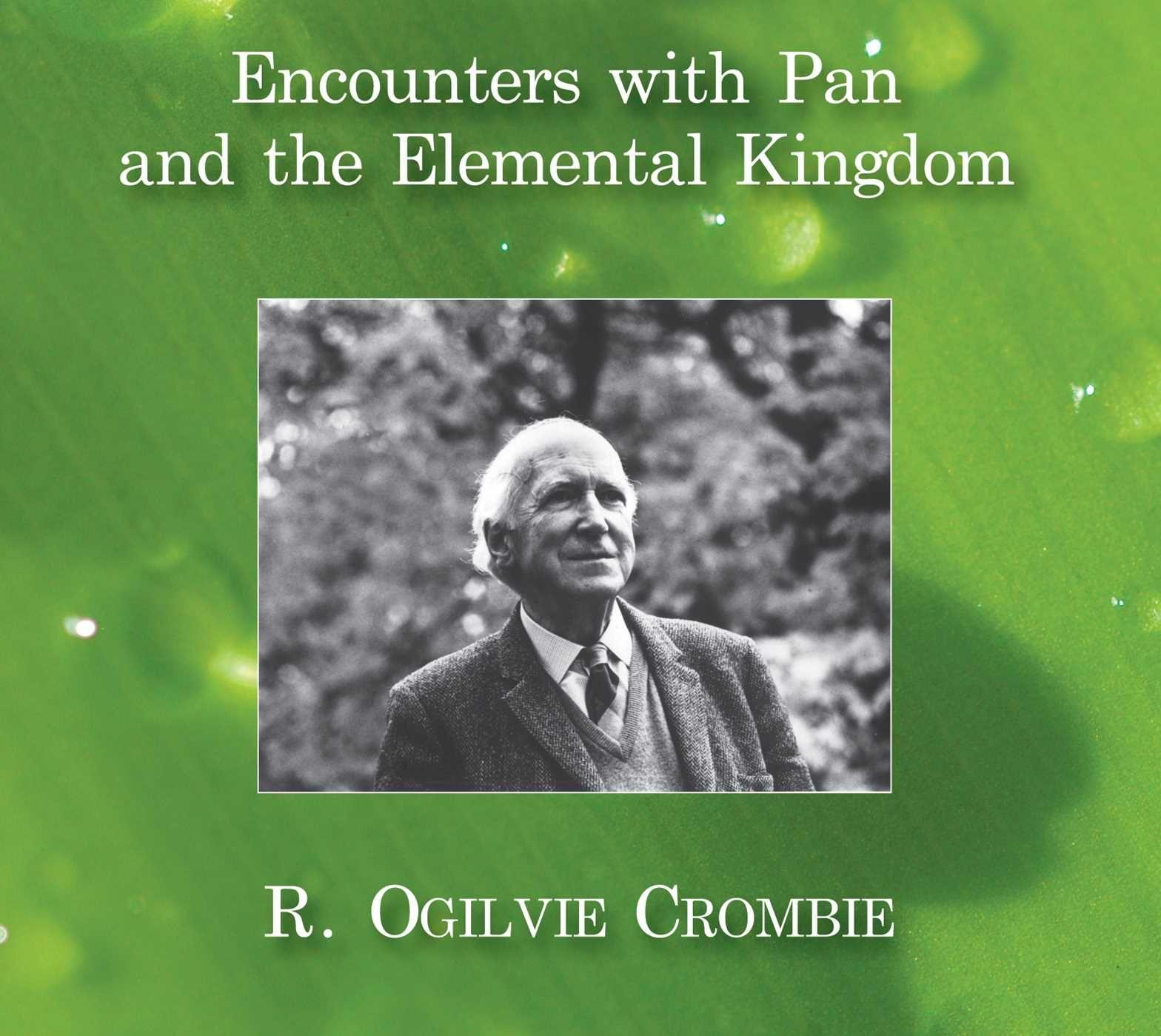 Vorderes Coverbild Encounters with Pan and the Elemental Kingdom