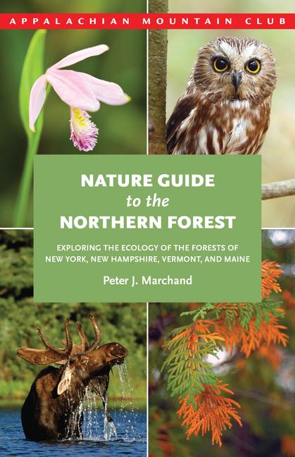 Vorderes Coverbild Nature Guide to the Northern Forest