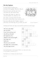 Beispielinhalt (Bild) Lesen und verstehen, 2./3. Schuljahr A