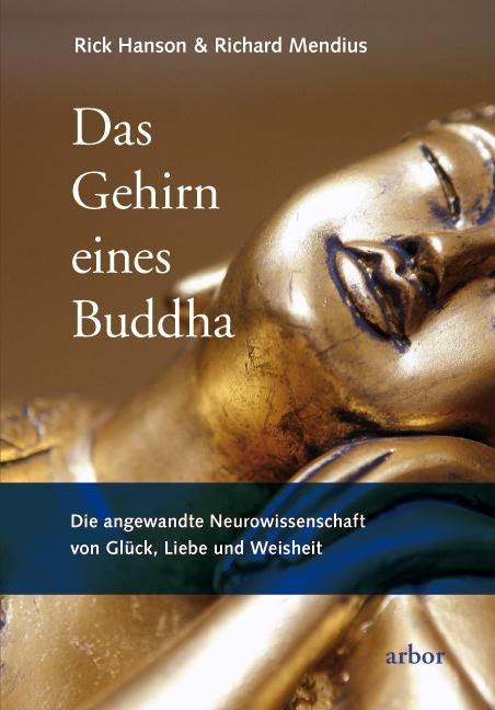 Vorderes Coverbild Das Gehirn eines Buddha