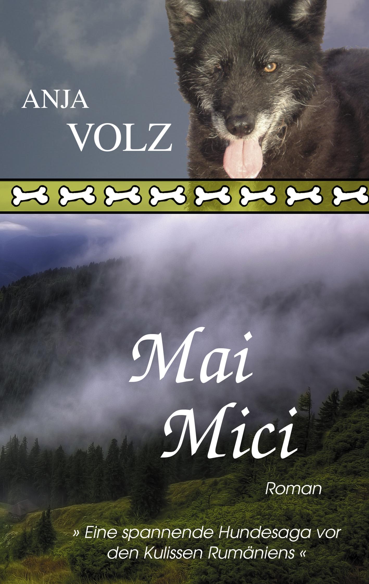 Vorderes Coverbild Mai Mici