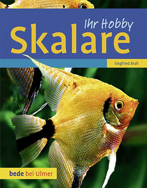 Vorderes Coverbild Skalare