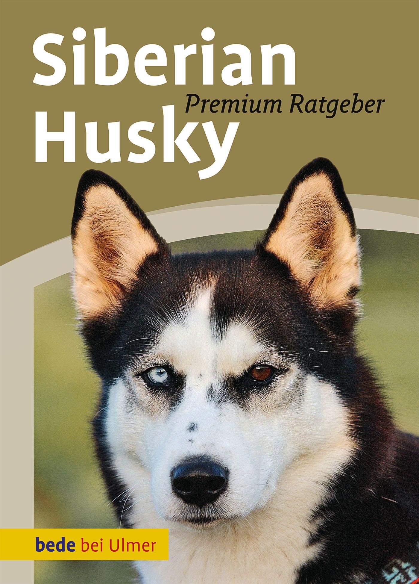 Vorderes Coverbild Siberian Husky