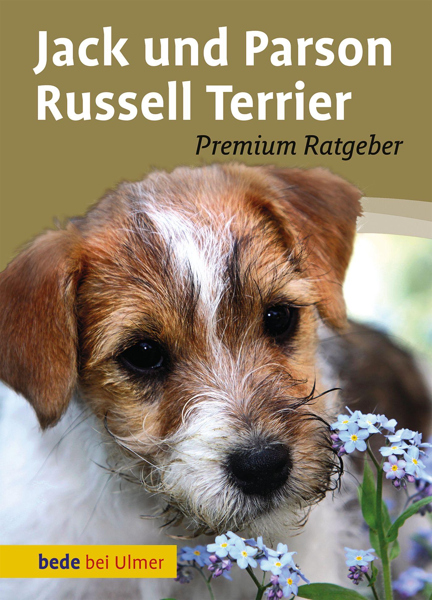 Vorderes Coverbild Jack und Parson Russell Terrier