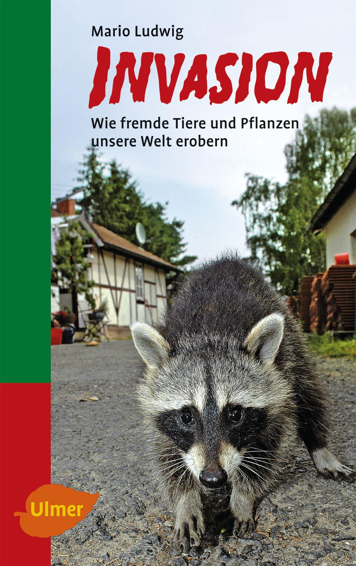 Vorderes Coverbild Invasion