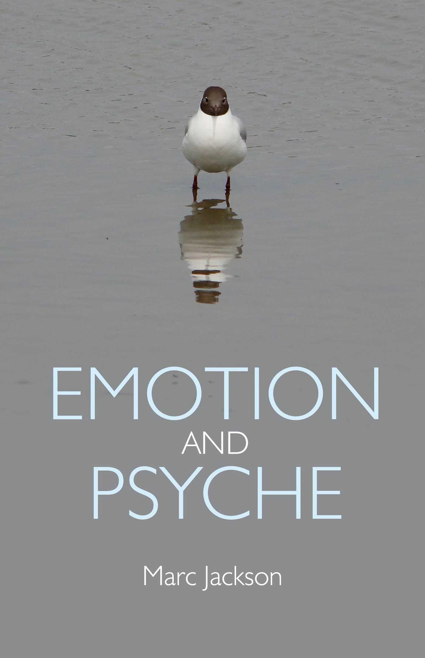Vorderes Coverbild Emotion and Psyche