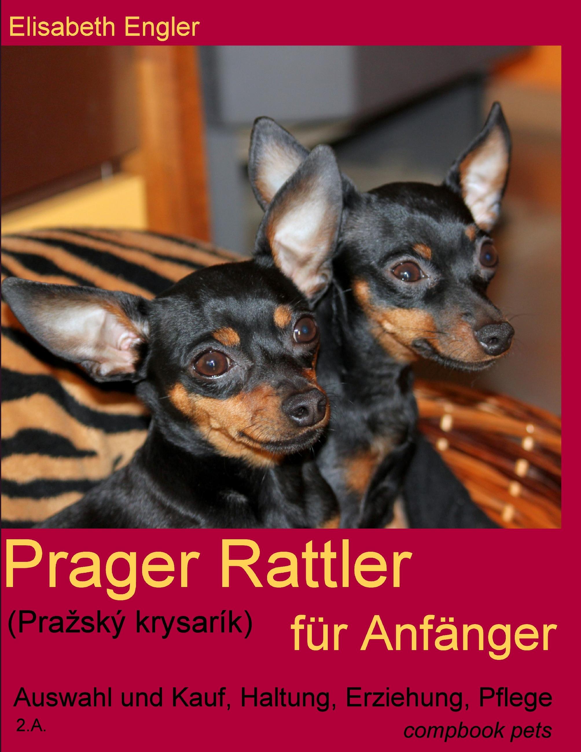 Vorderes Coverbild Prager Rattler (Pra¿ský krysarík) für Anfänger