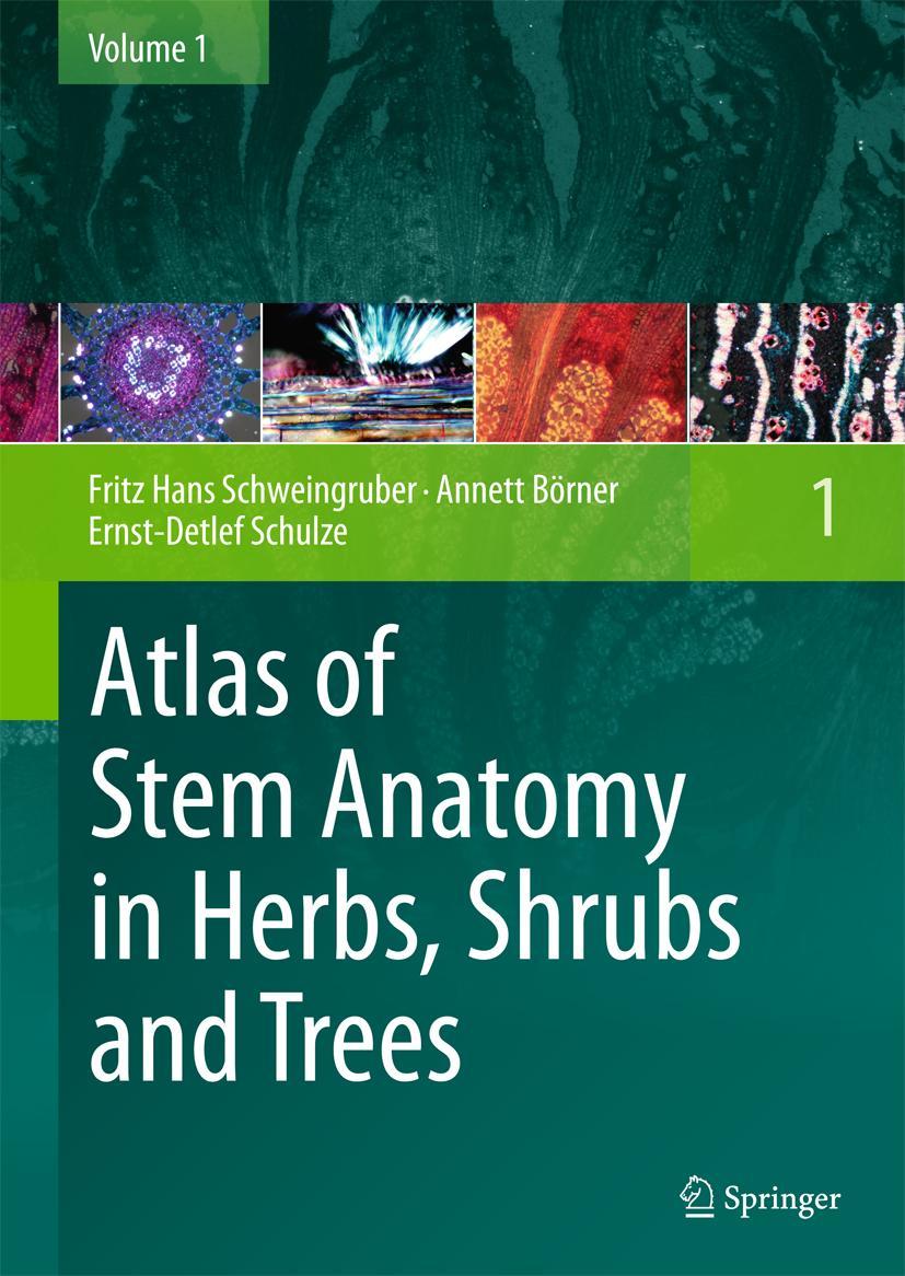 Vorderes Coverbild Atlas of Stem Anatomy in Herbs, Shrubs and Trees