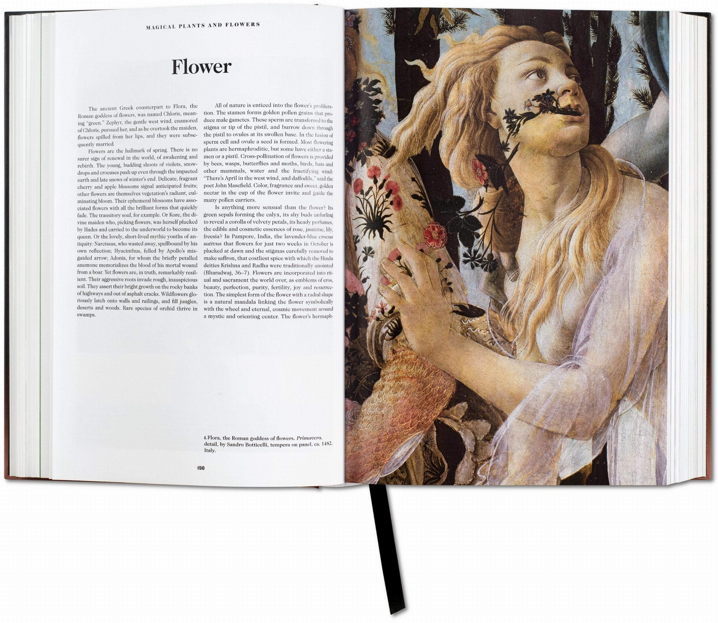Beispielinhalt (Bild) Das Buch der Symbole. Betrachtungen zu archetypischen Bildern