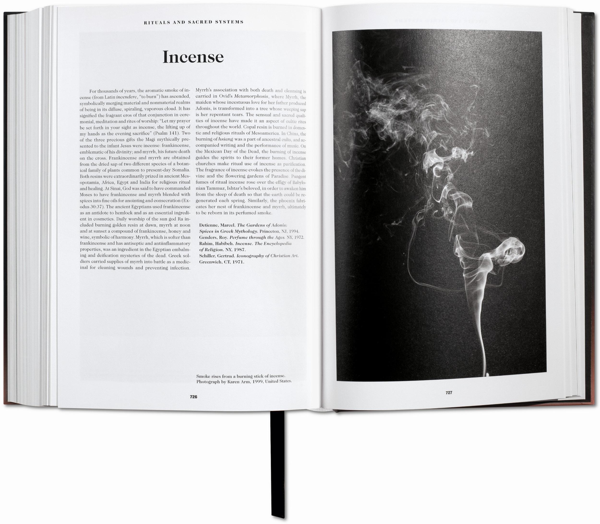 Beispielinhalt (Bild) Das Buch der Symbole. Betrachtungen zu archetypischen Bildern