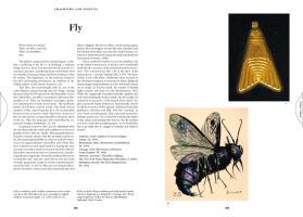 Beispielinhalt (Bild) Das Buch der Symbole. Betrachtungen zu archetypischen Bildern
