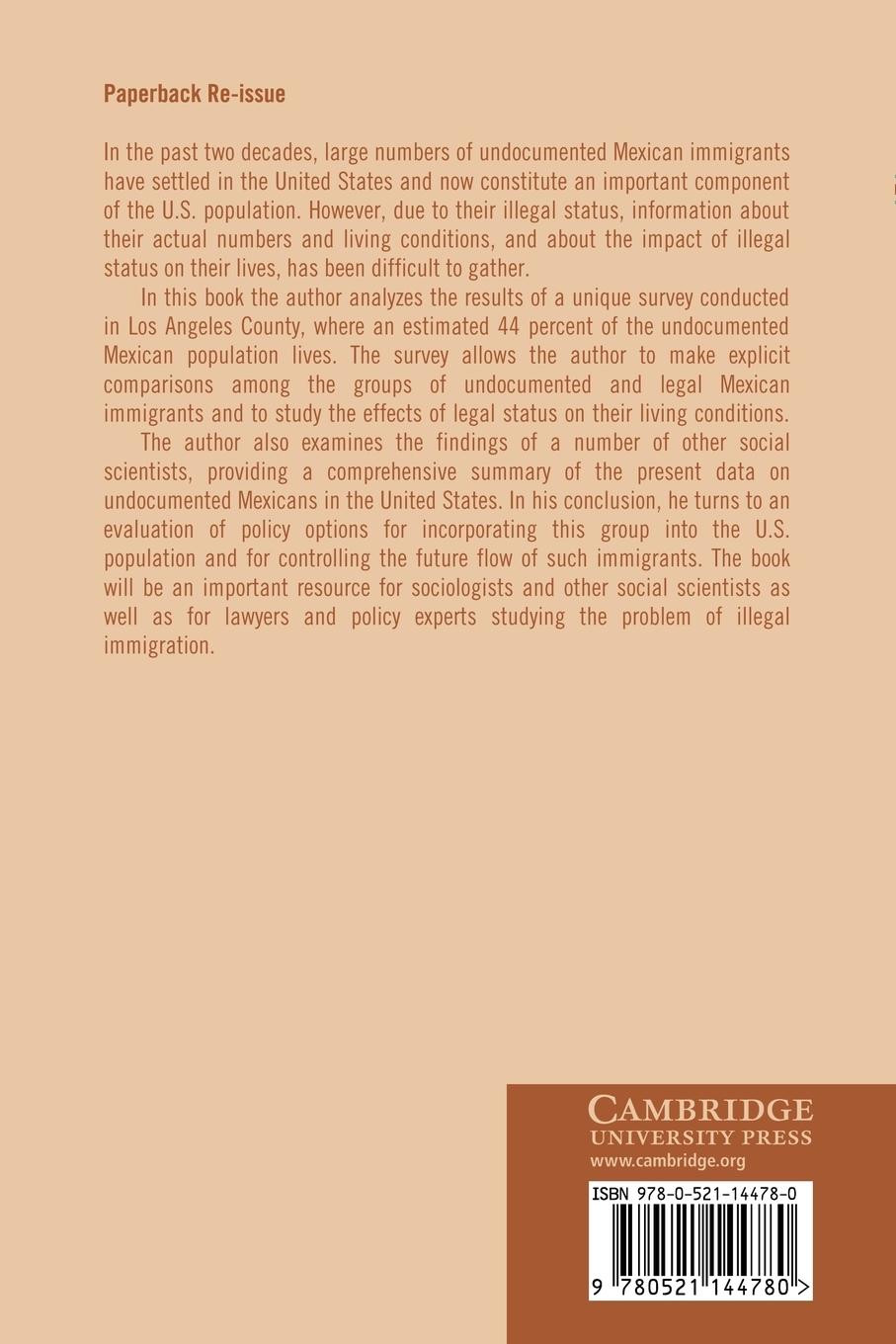 Rückseitencover Undocumented Mexicans in the USA
