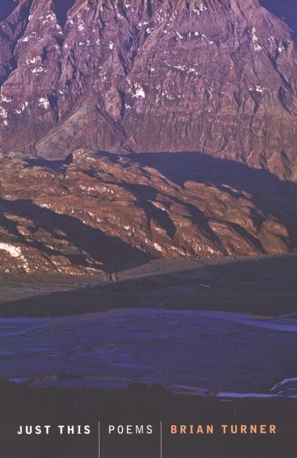 Vorderes Coverbild Just This