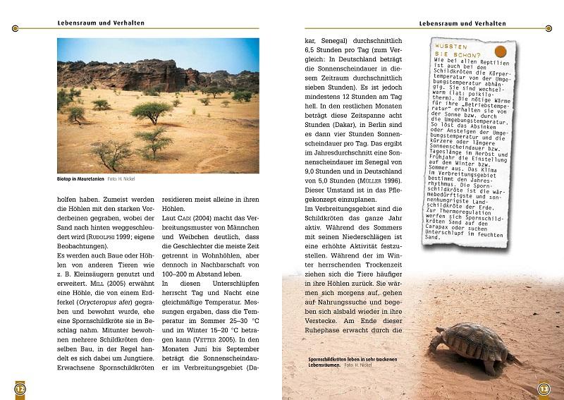 Beispielinhalt (Bild) Die Spornschildkröte