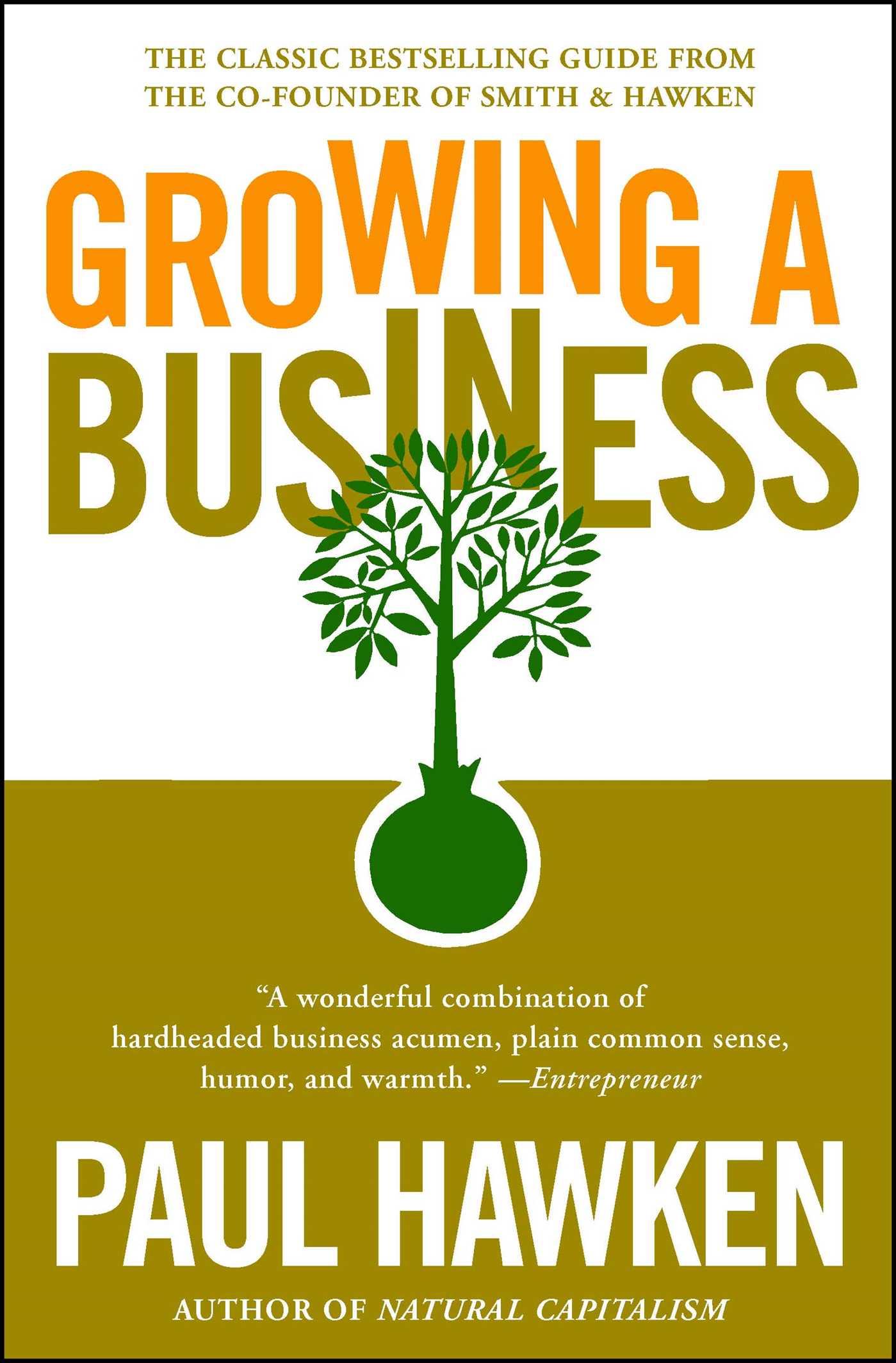 Vorderes Coverbild Growing a Business